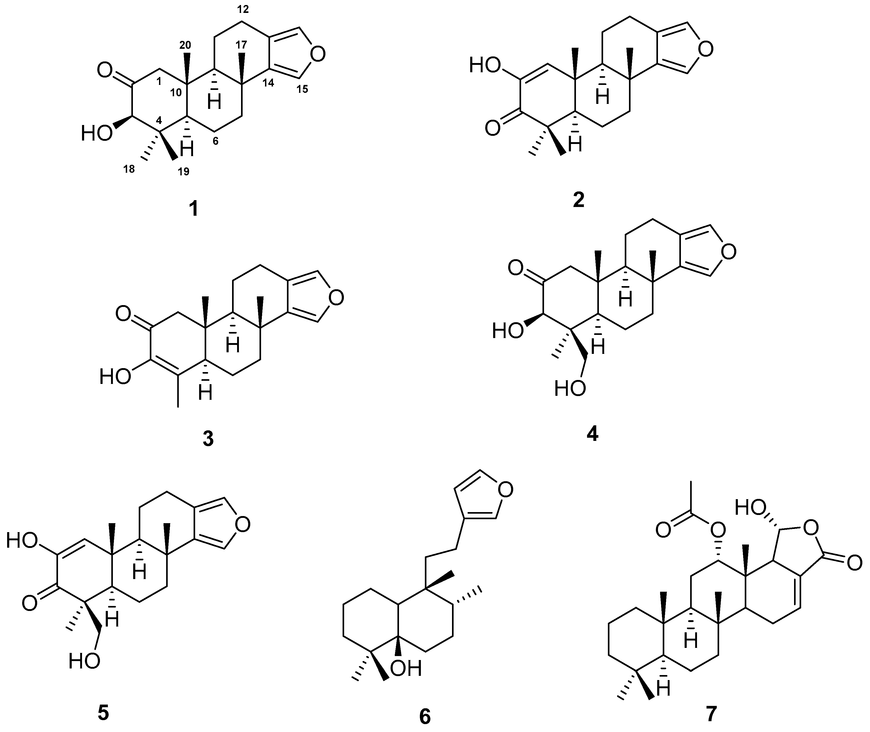 Marinedrugs 17 00416 g001 550