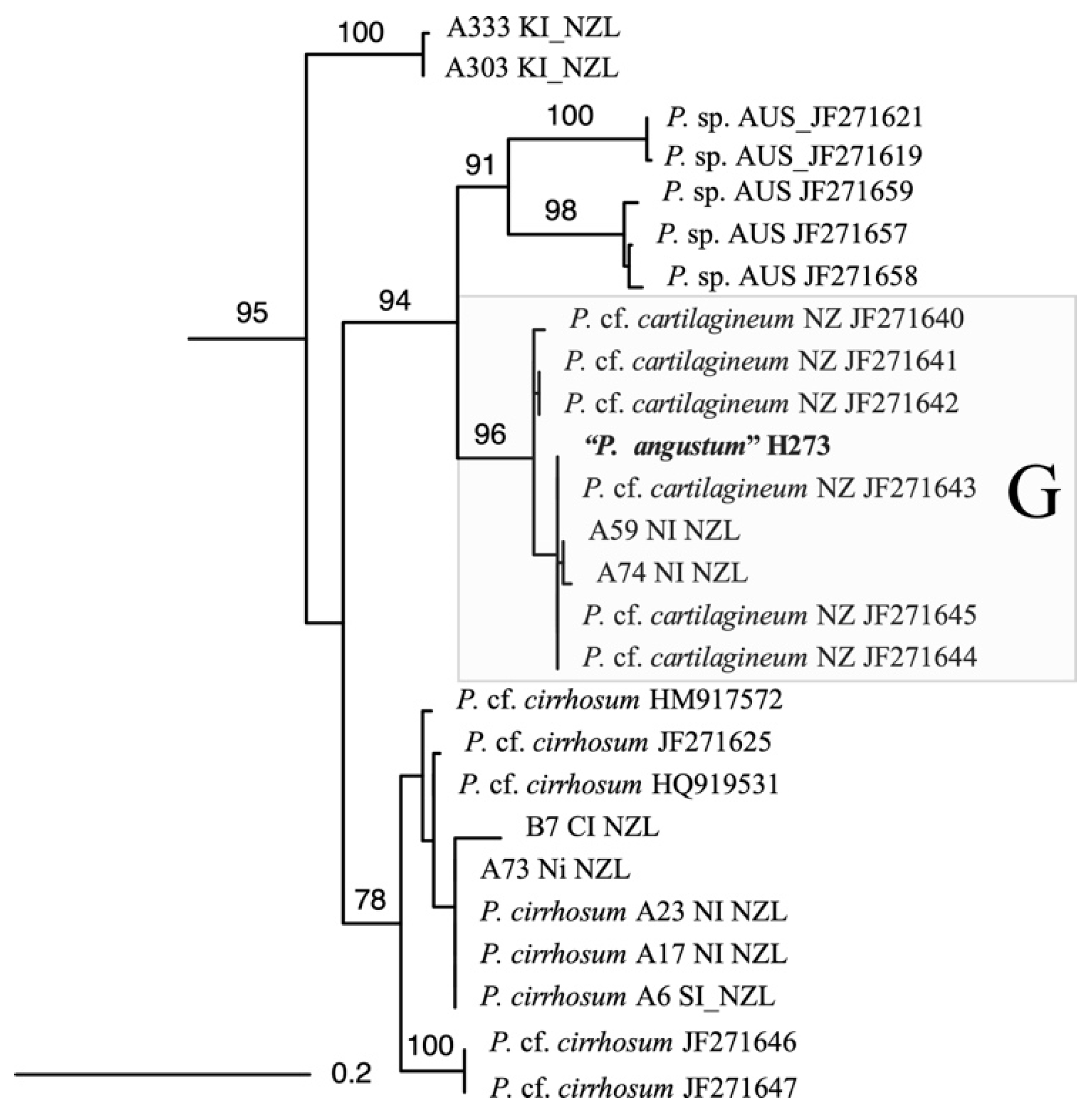 Marinedrugs 17 00418 g005 Marinedrugs 17 00418 g005