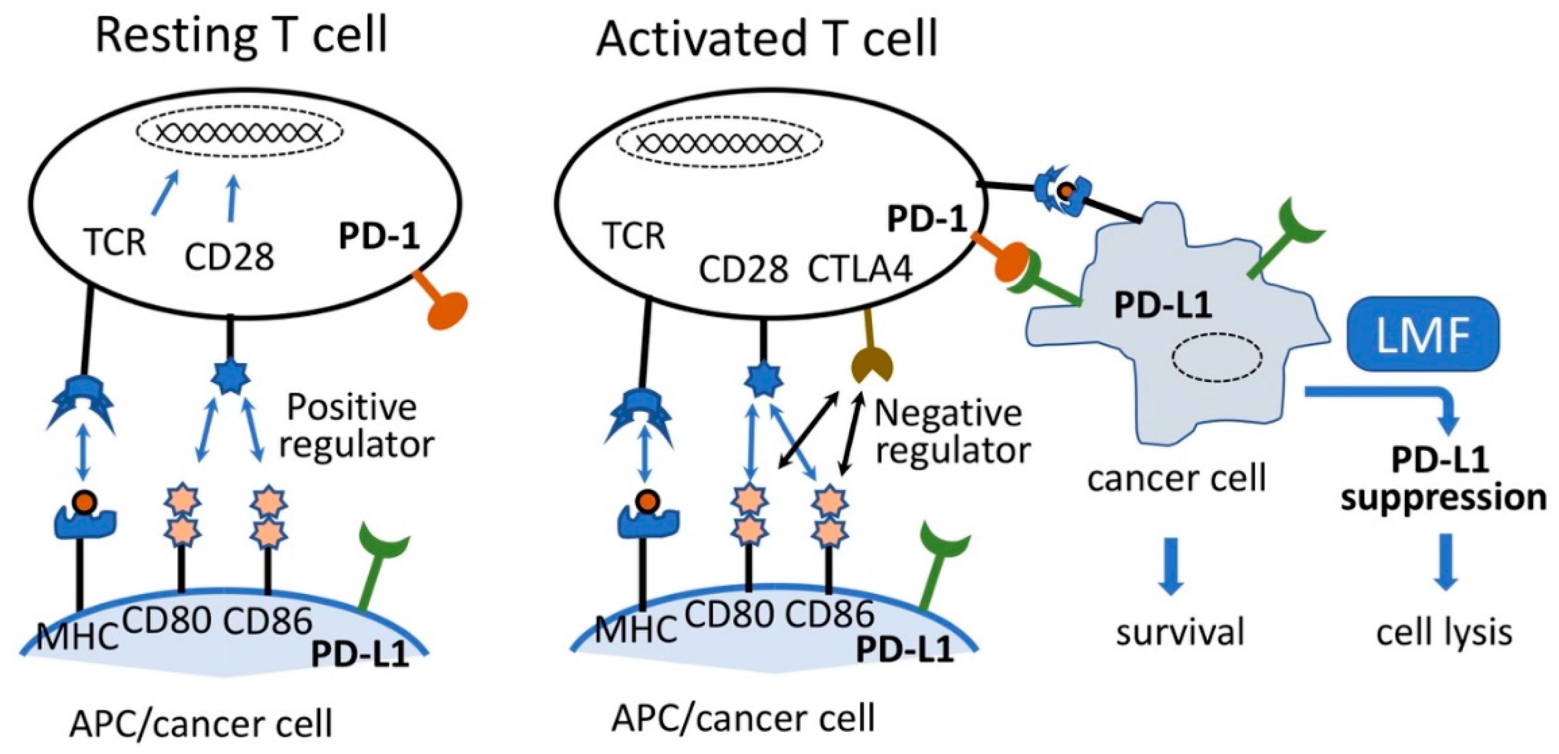 Marinedrugs 17 00421 g001