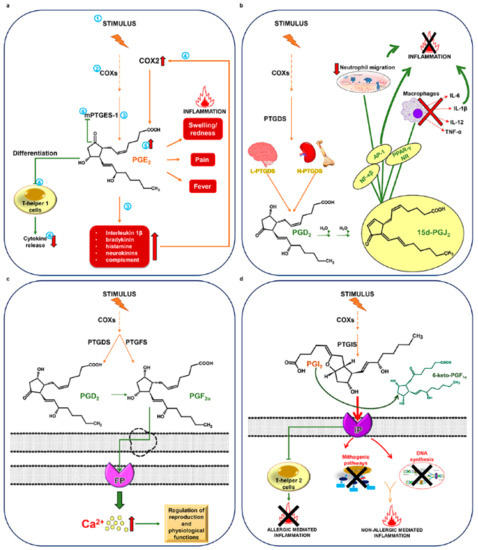 Marine Drugs Special Issue Marine Anti Inflammatory Agents