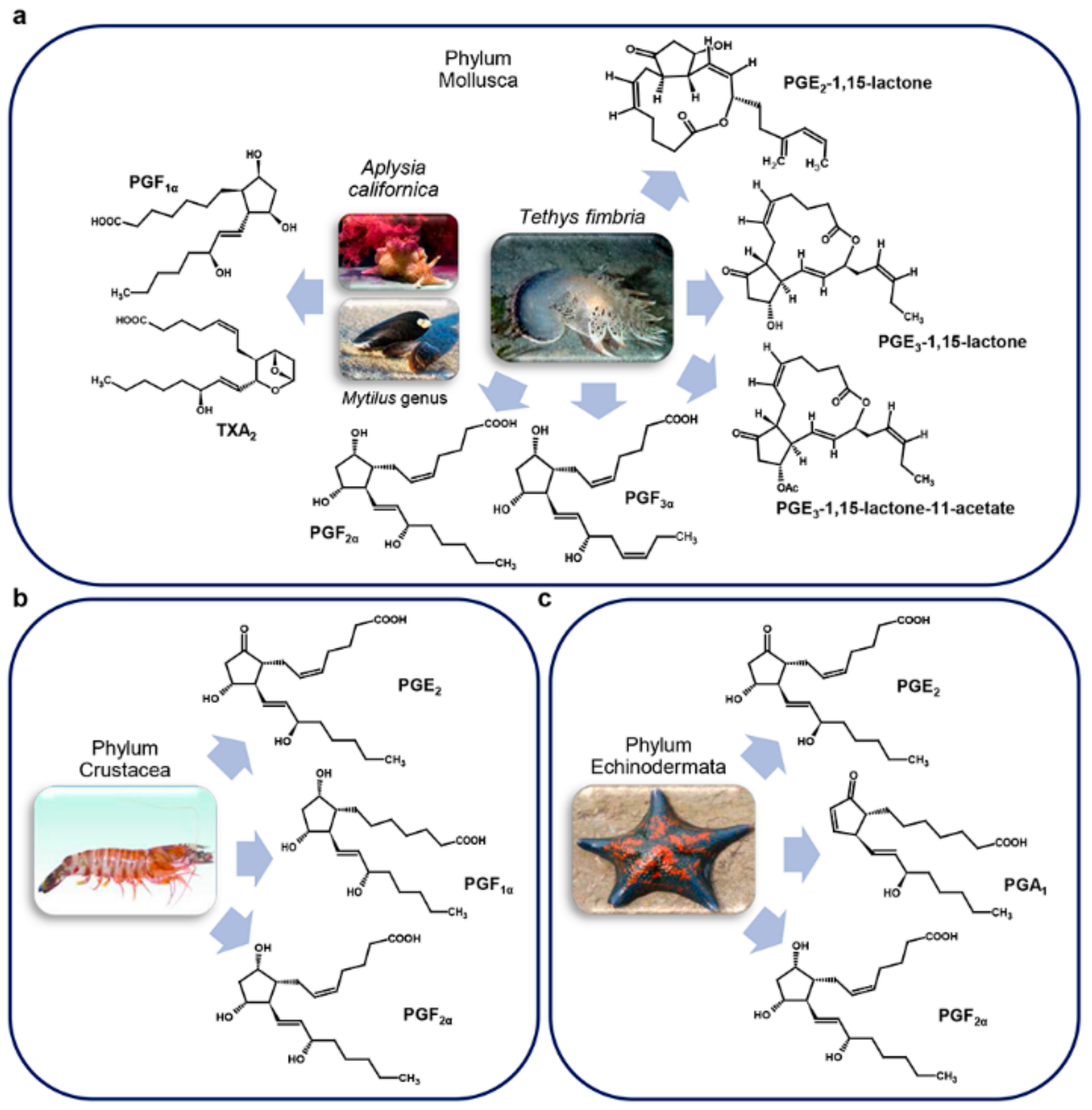 Marinedrugs 17 00428 g004