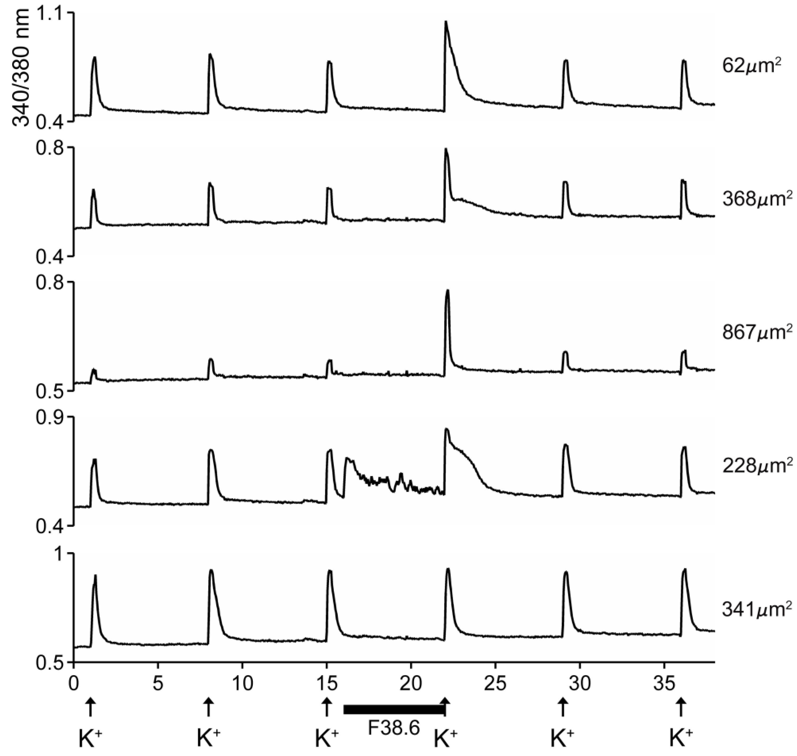 Marinedrugs 17 00432 g005