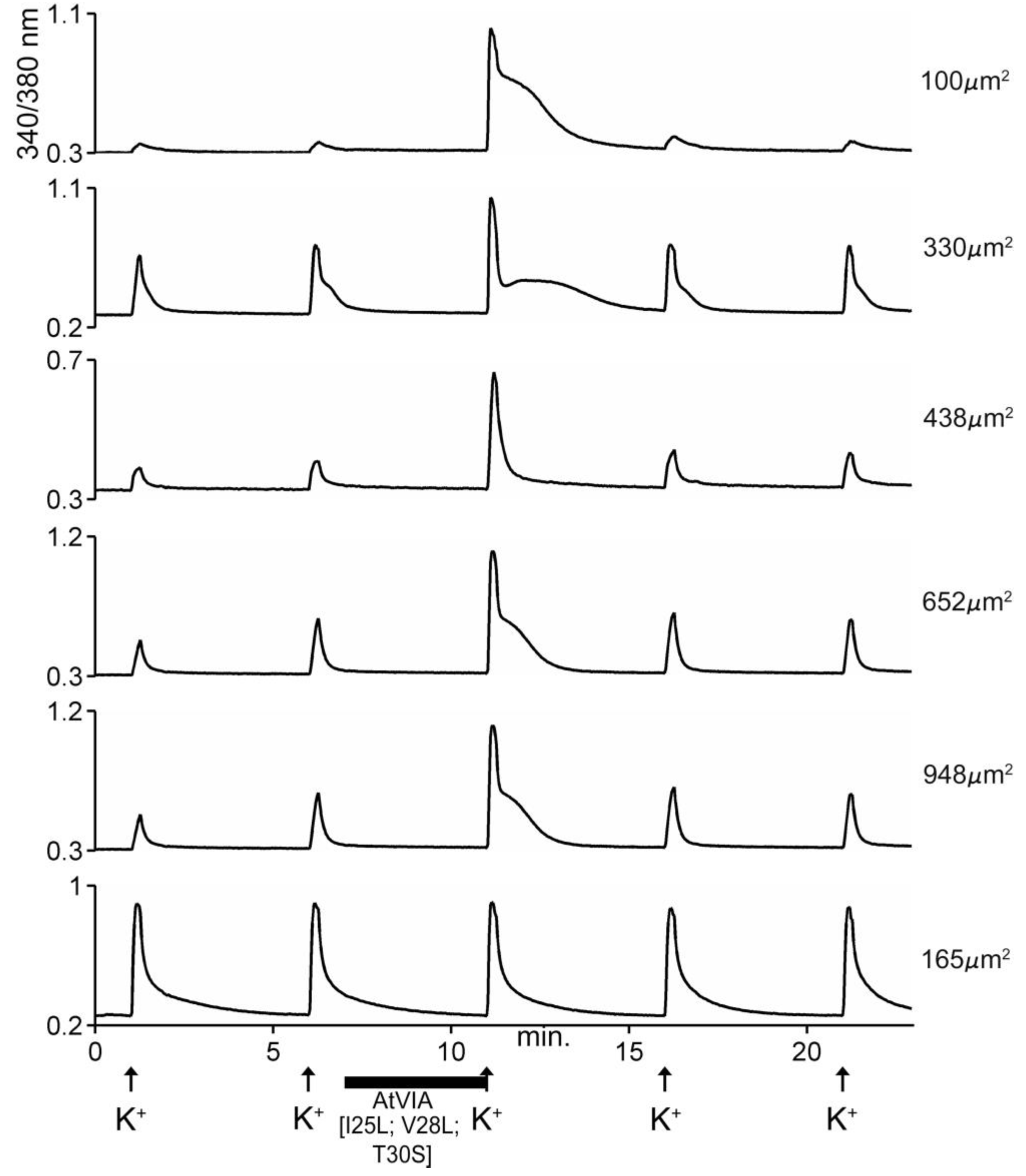 Marinedrugs 17 00432 g008