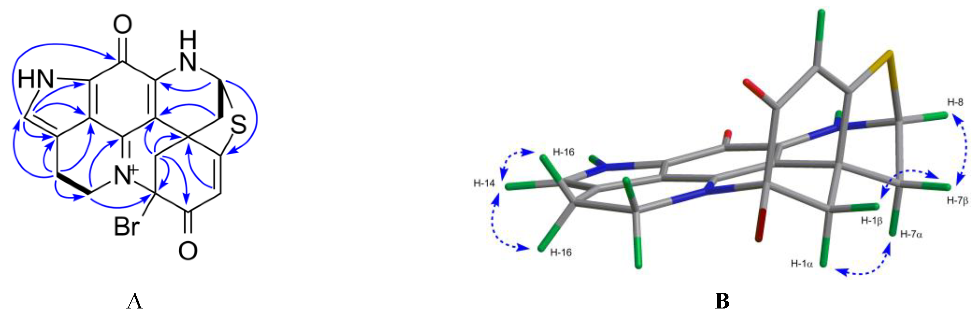 Marinedrugs 17 00439 g004