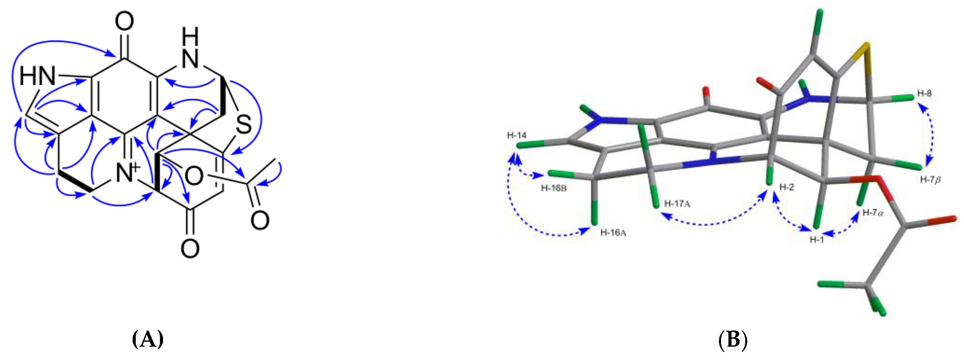 Marinedrugs 17 00439 g005