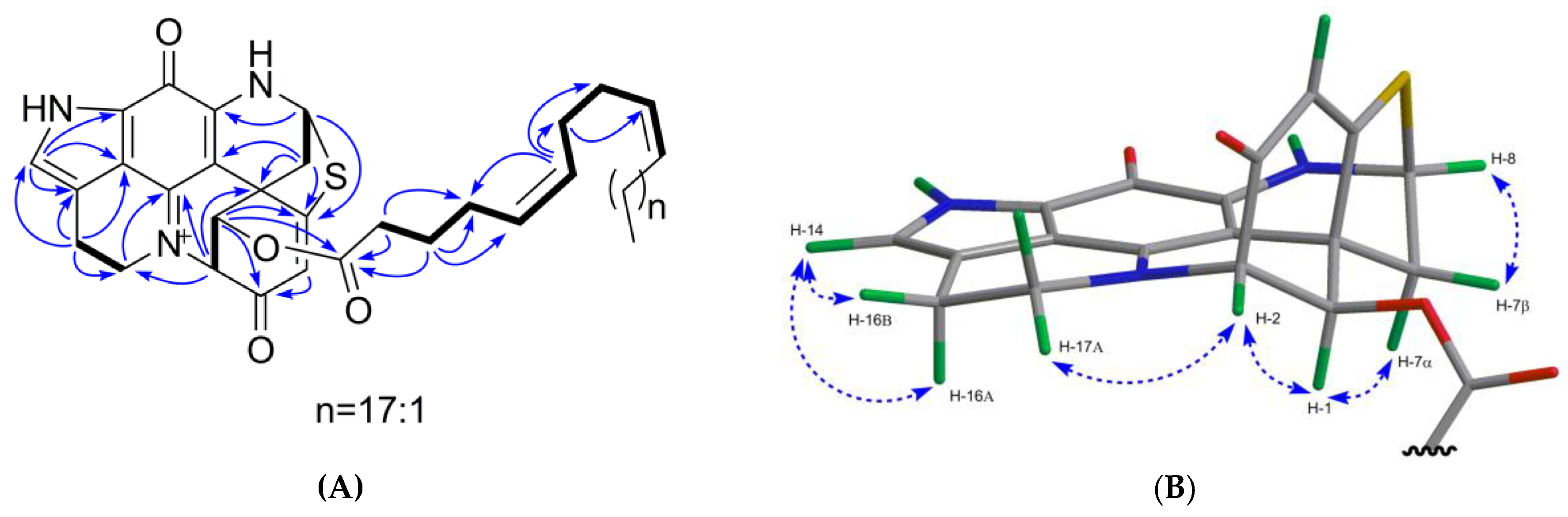 Marinedrugs 17 00439 g006