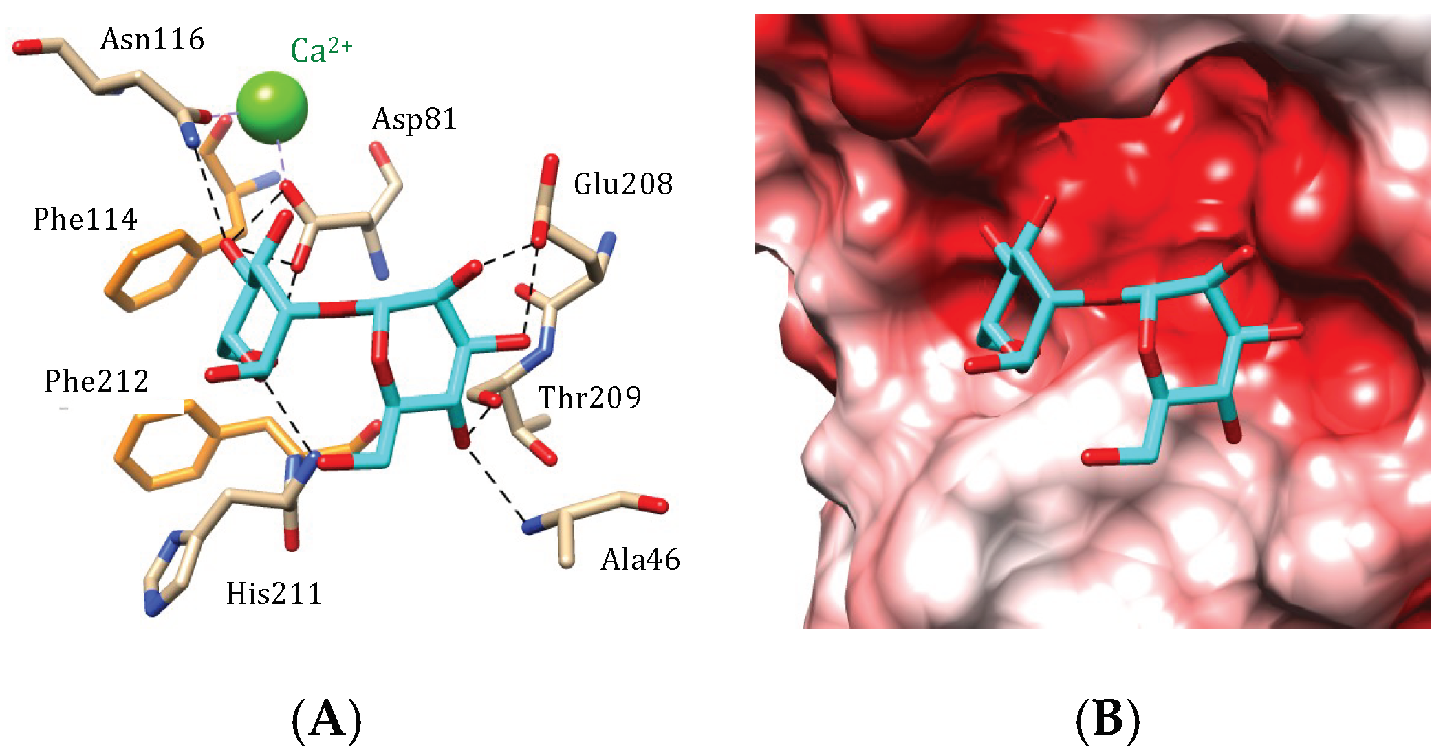 Marinedrugs 17 00440 g008