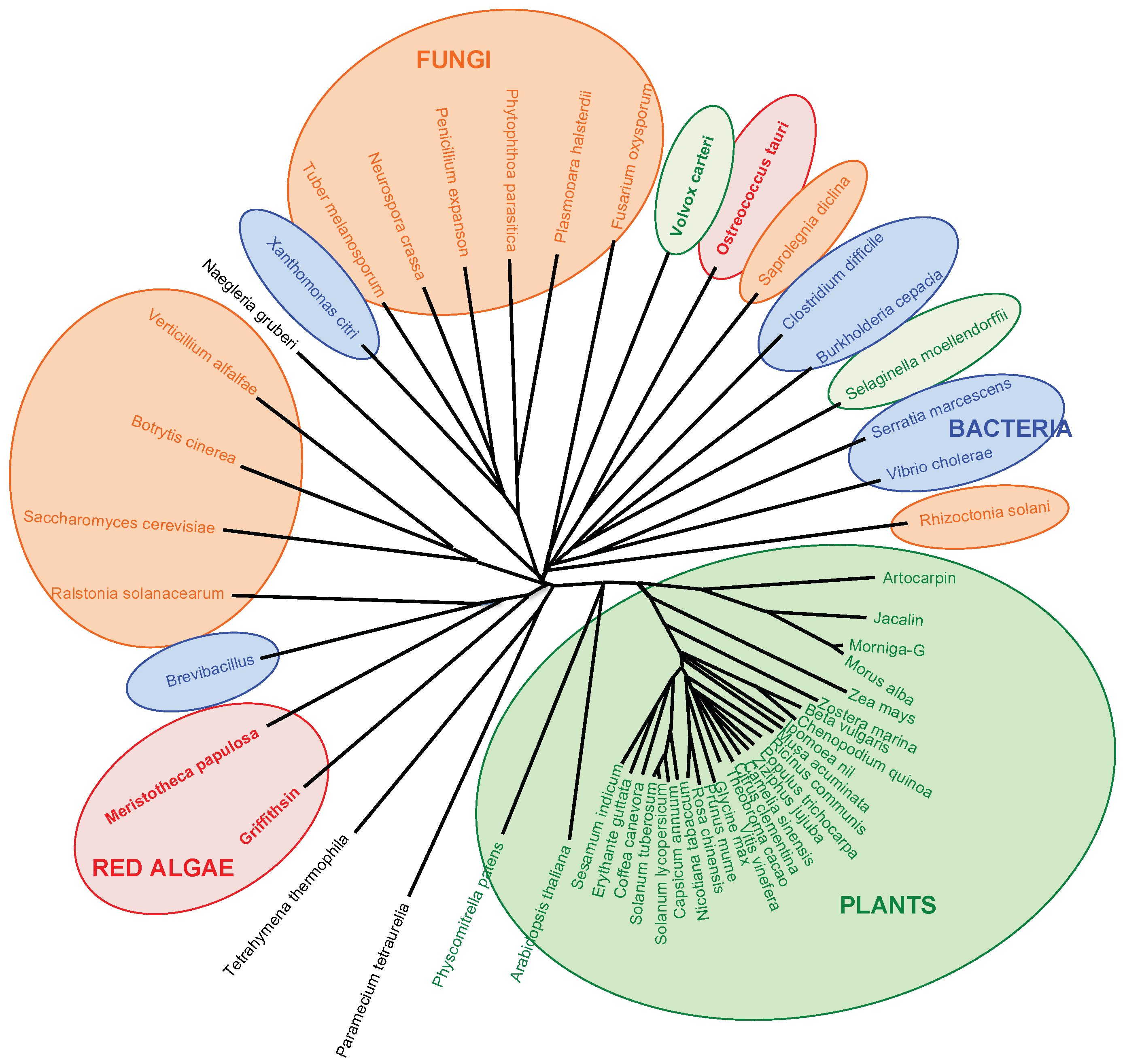 Marinedrugs 17 00440 g013