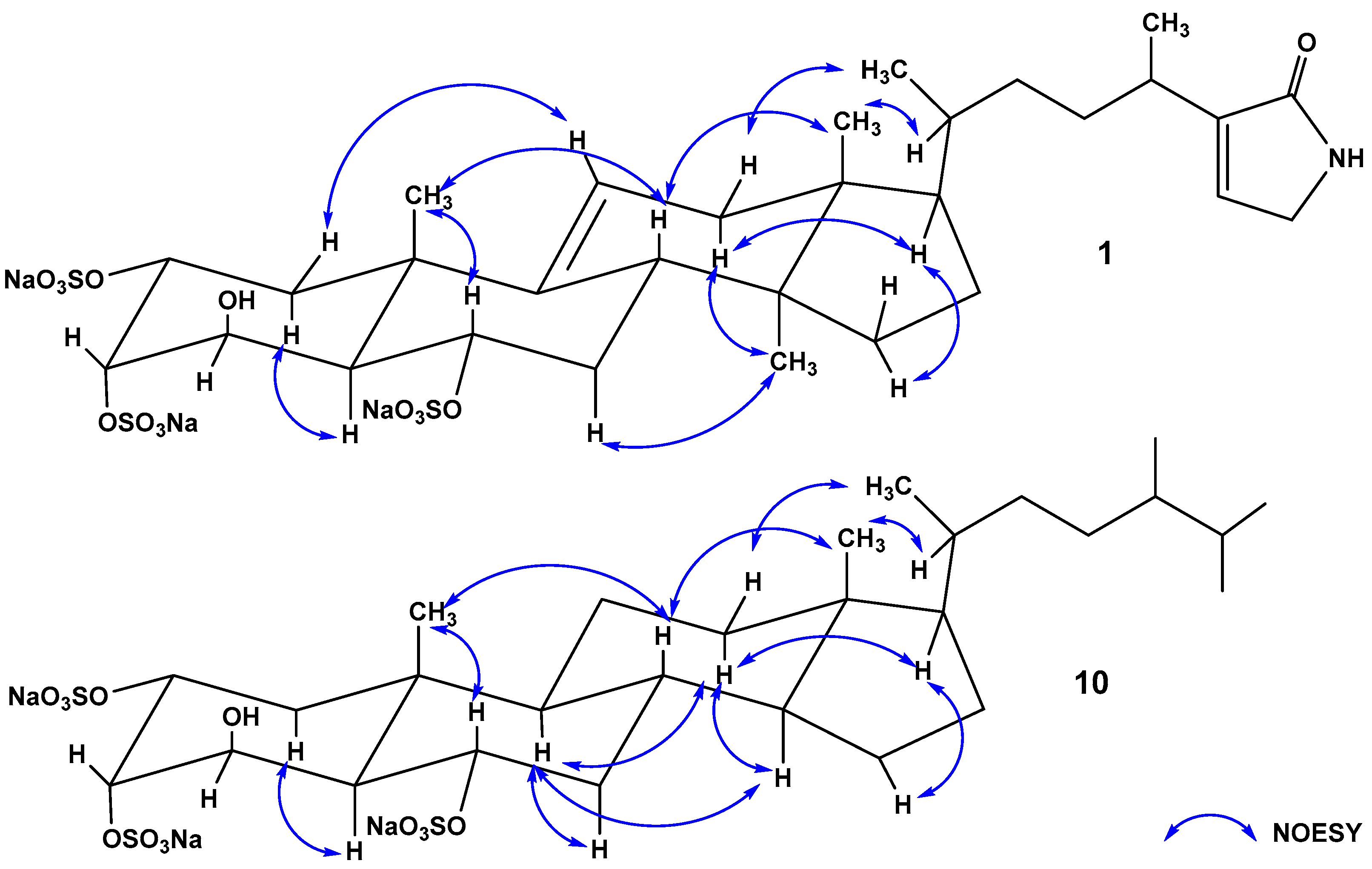 Marinedrugs 17 00445 g003 Marinedrugs 17 00445 g003