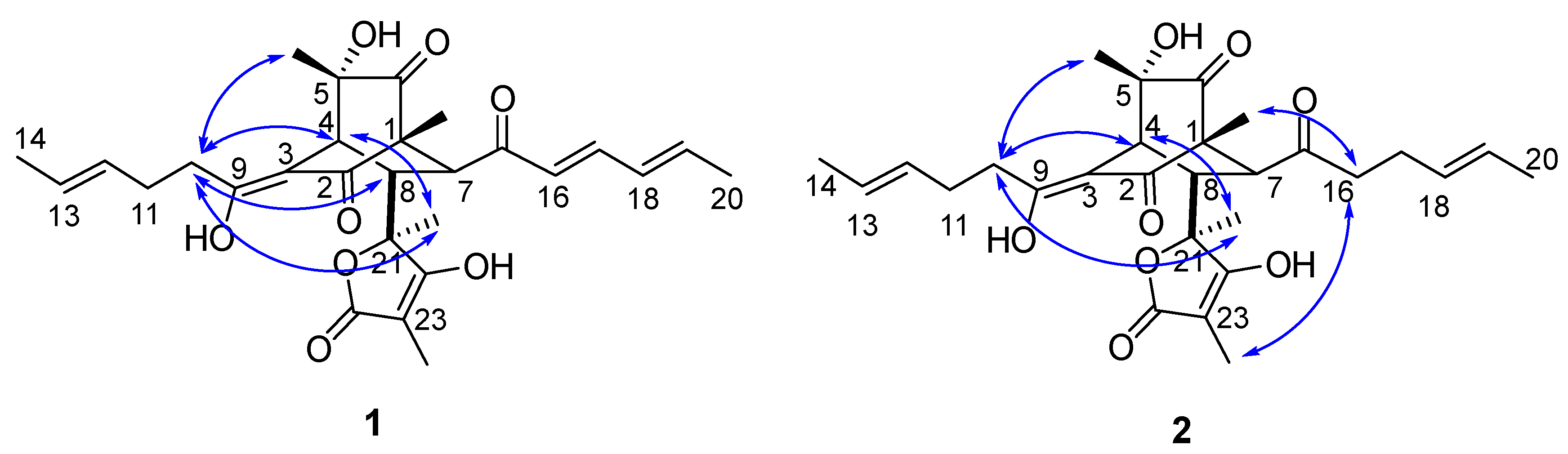 Marinedrugs 17 00446 g004