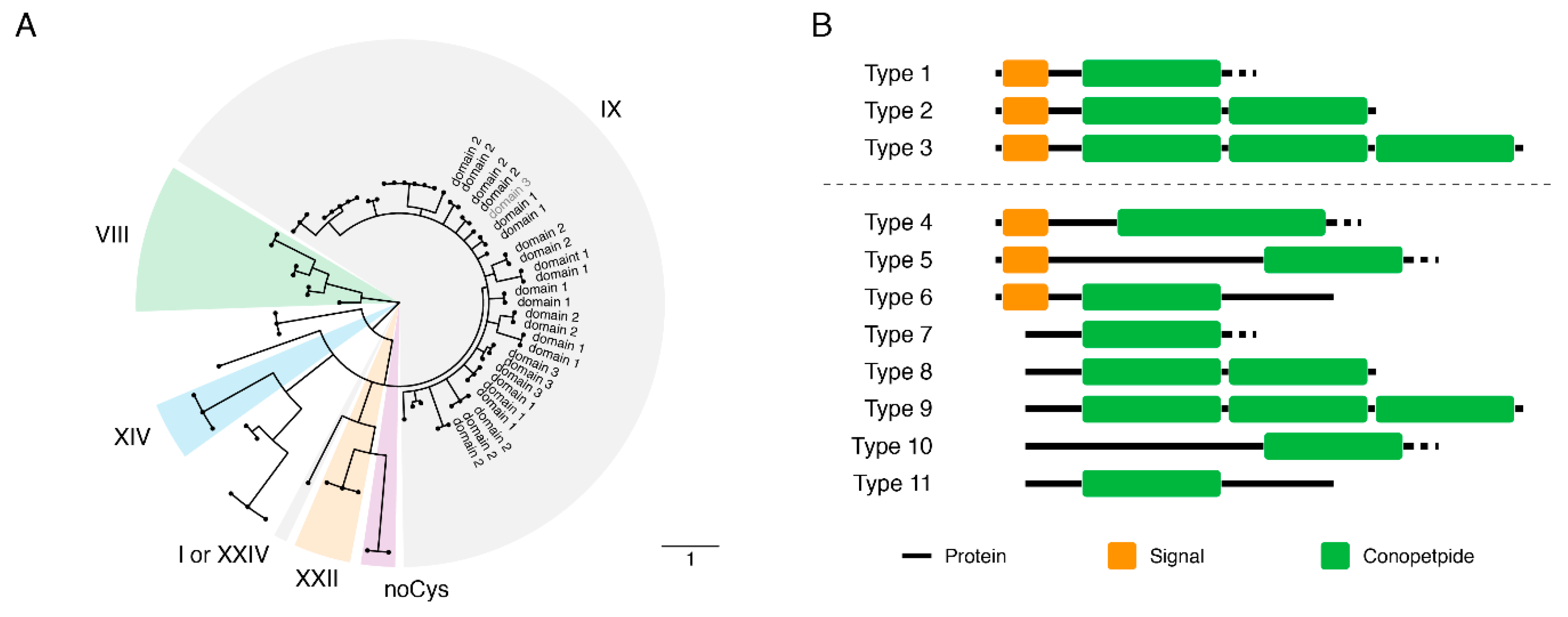 Marinedrugs 17 00466 g004