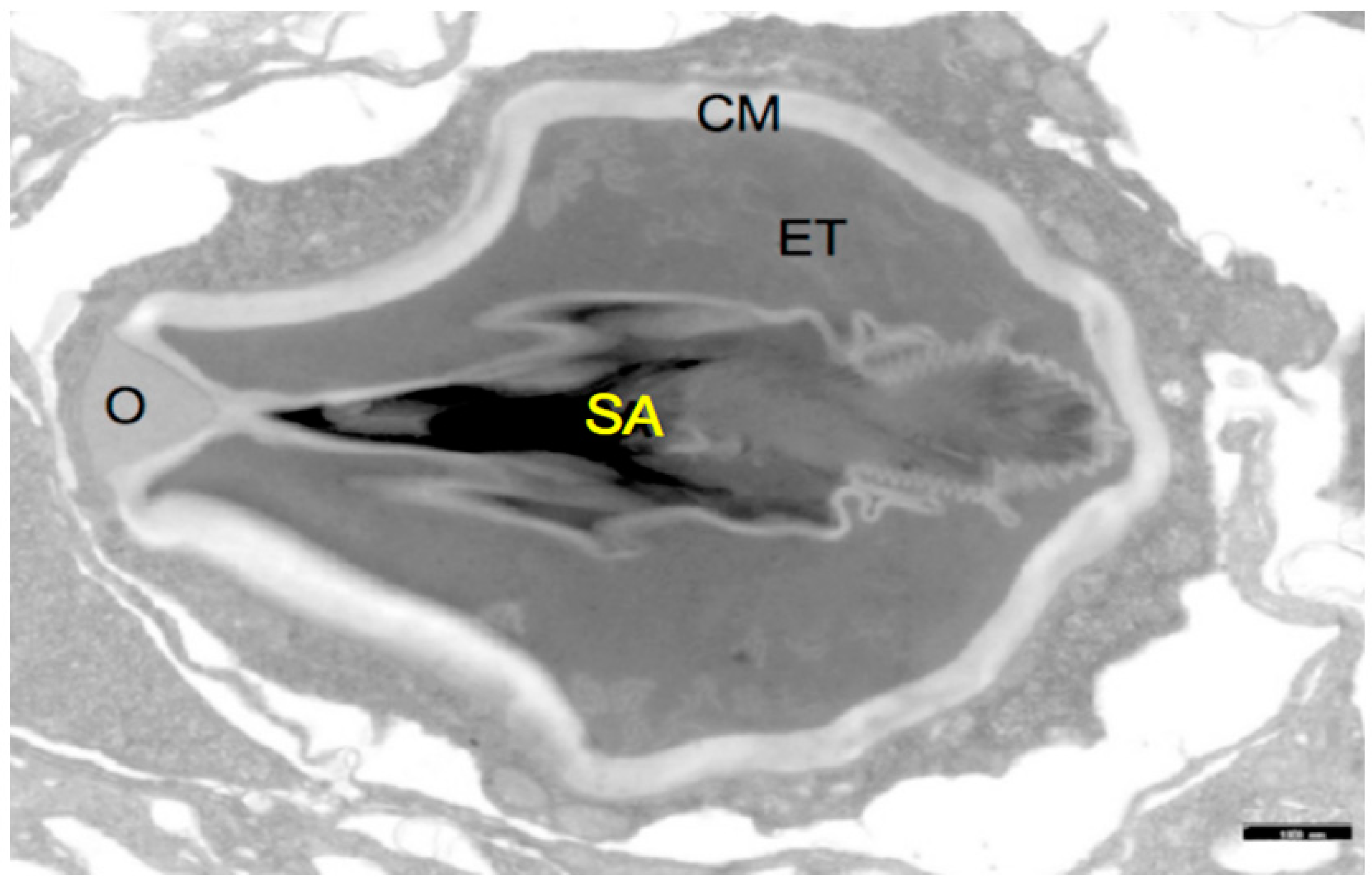 Marinedrugs 17 00469 g001 Marinedrugs 17 00469 g001