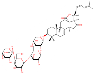 Marinedrugs 17 00474 i005 Marinedrugs 17 00474 i005