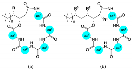 Marinedrugs 17 00475 i002 Marinedrugs 17 00475 i002