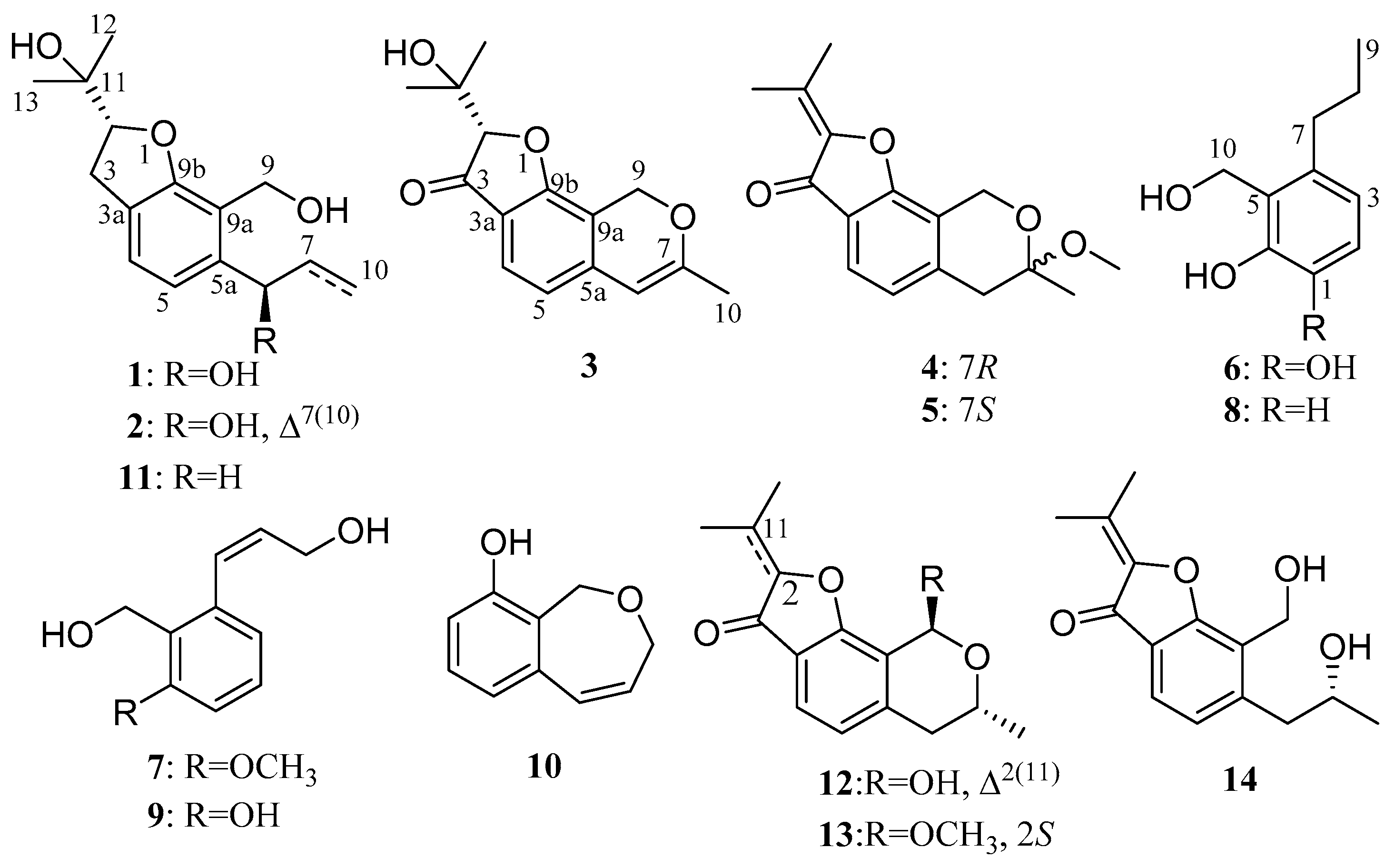Marinedrugs 17 00478 g001