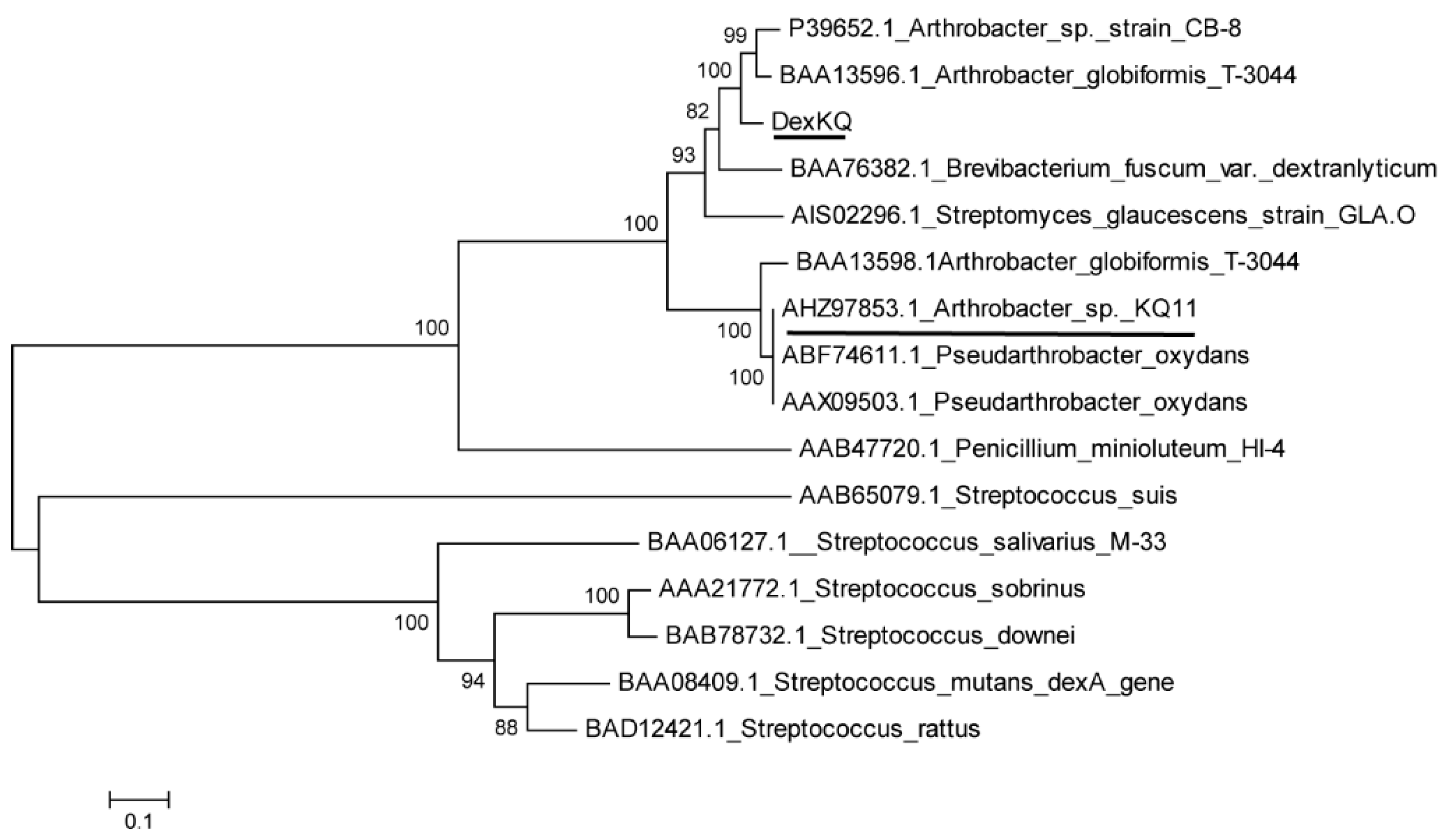 Marinedrugs 17 00479 g001