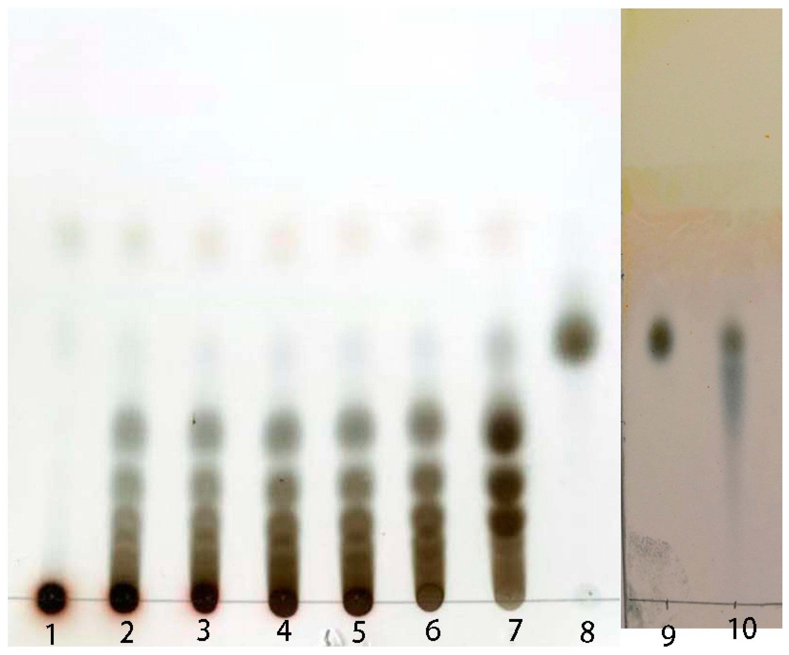 Marinedrugs 17 00479 g008