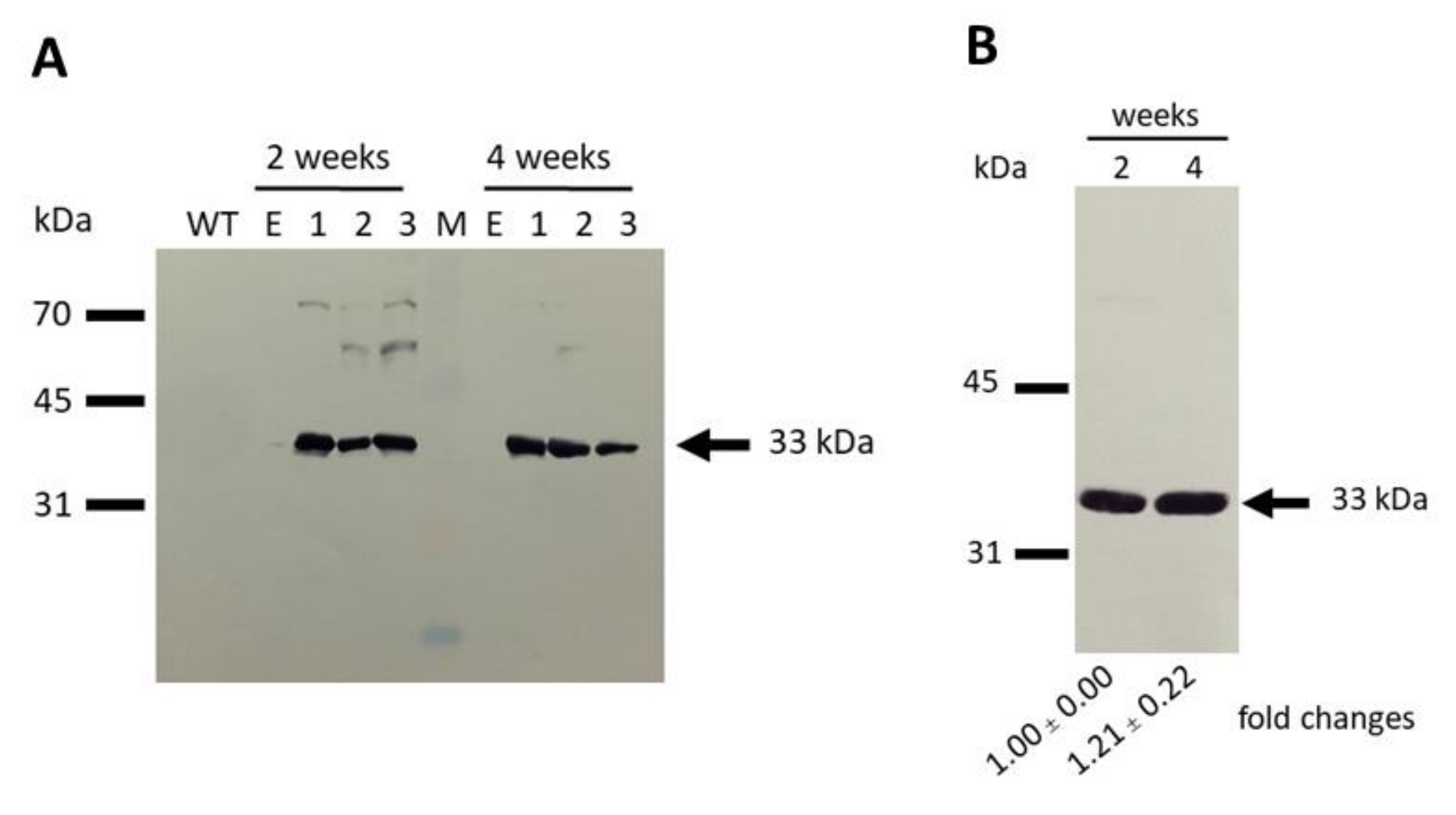 Marinedrugs 17 00484 g005