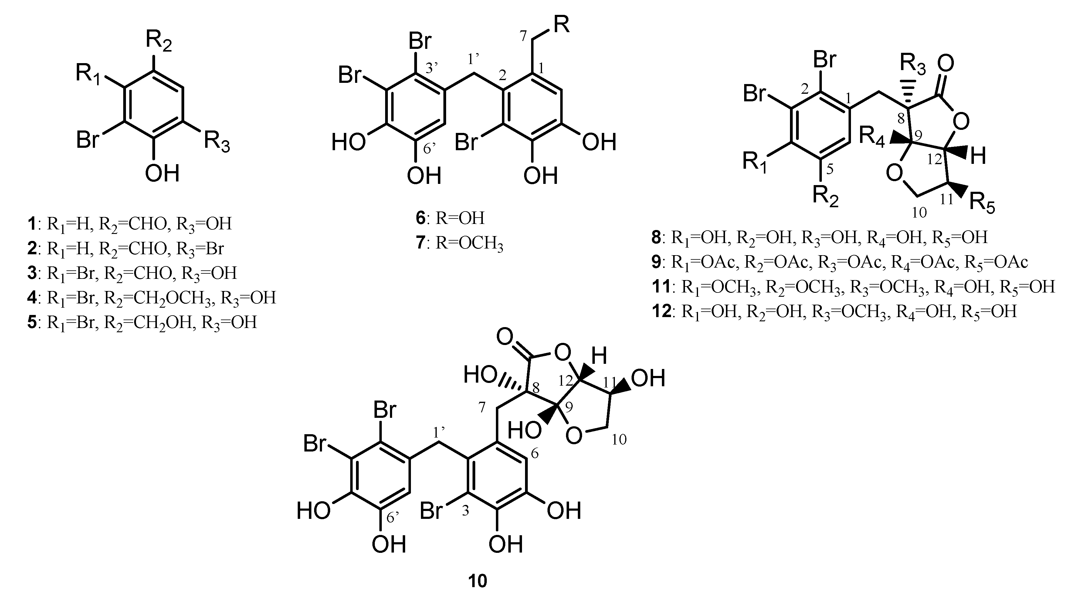 Marinedrugs 17 00497 g001 Marinedrugs 17 00497 g001