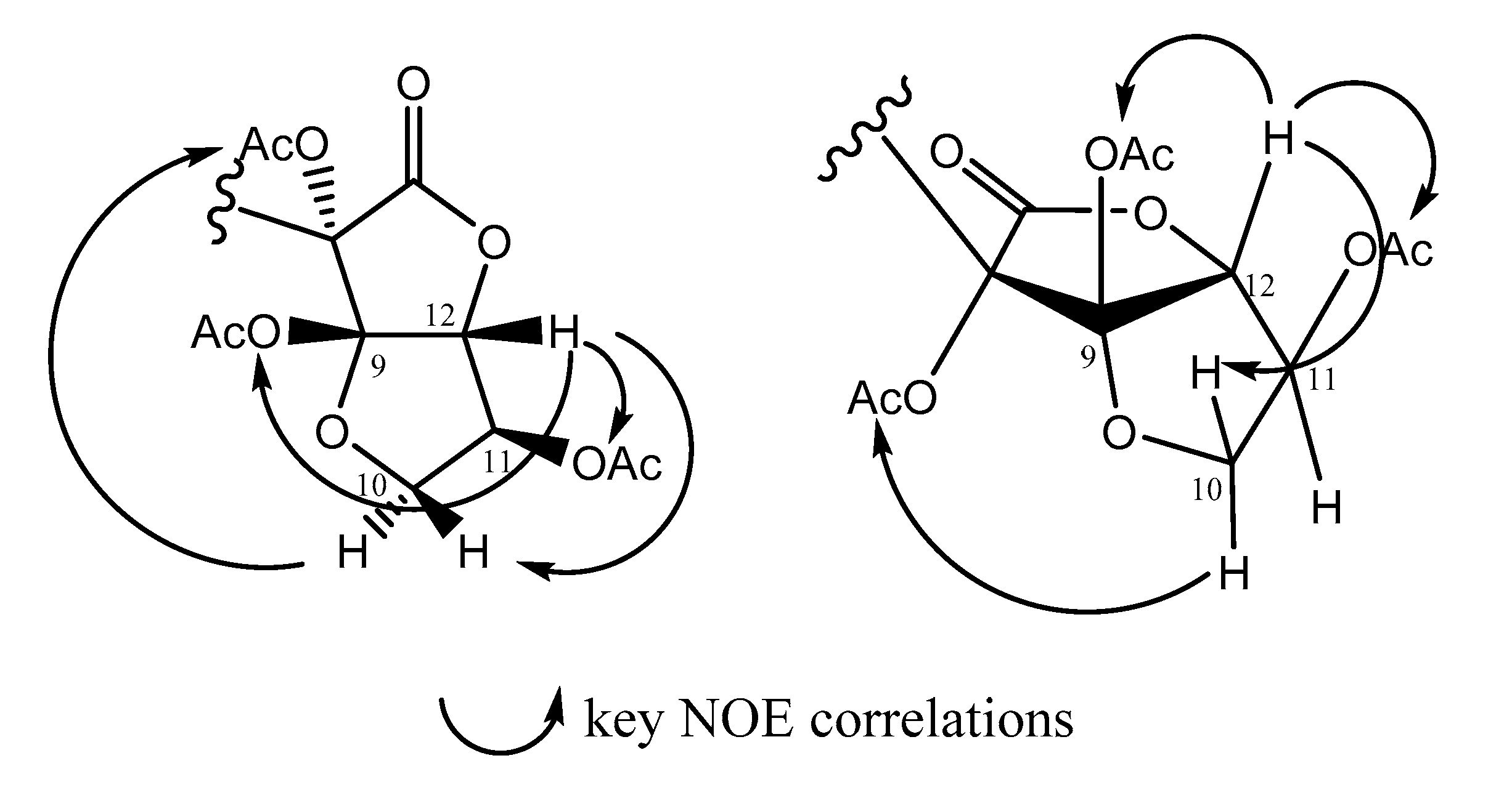 Marinedrugs 17 00497 g002 Marinedrugs 17 00497 g002