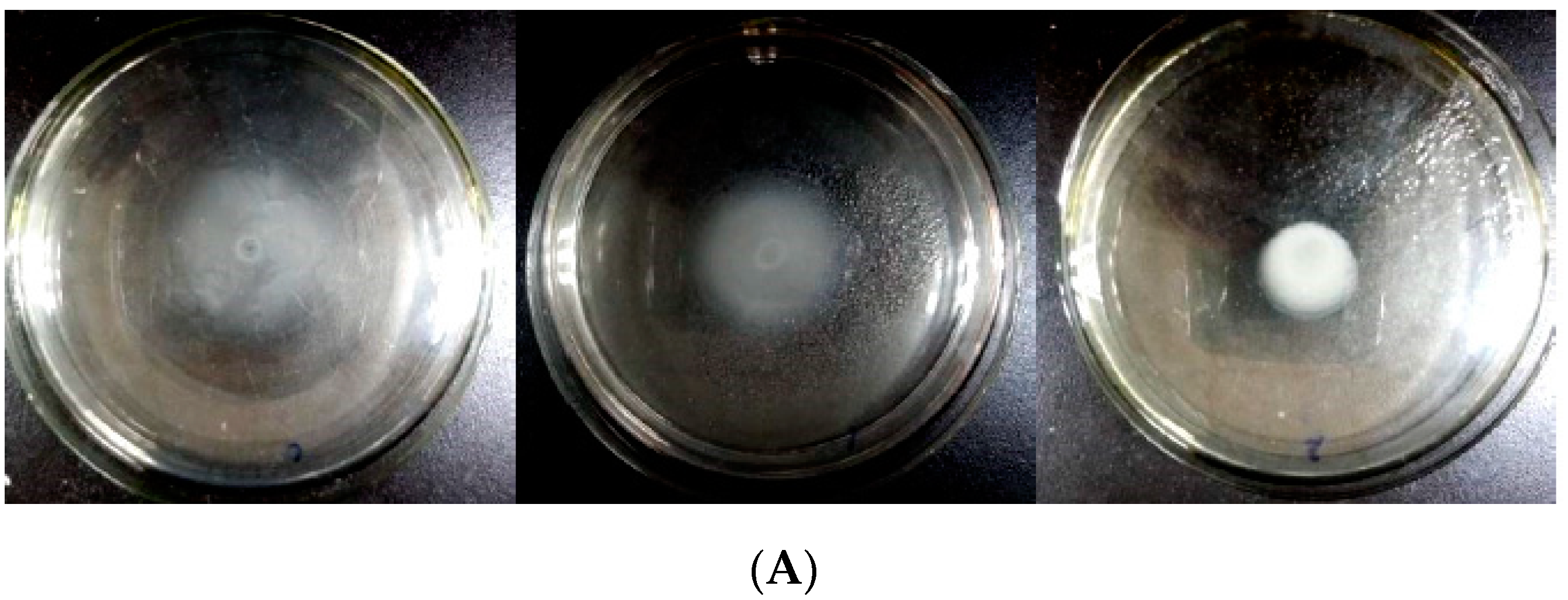 Marinedrugs 17 00499 g004a