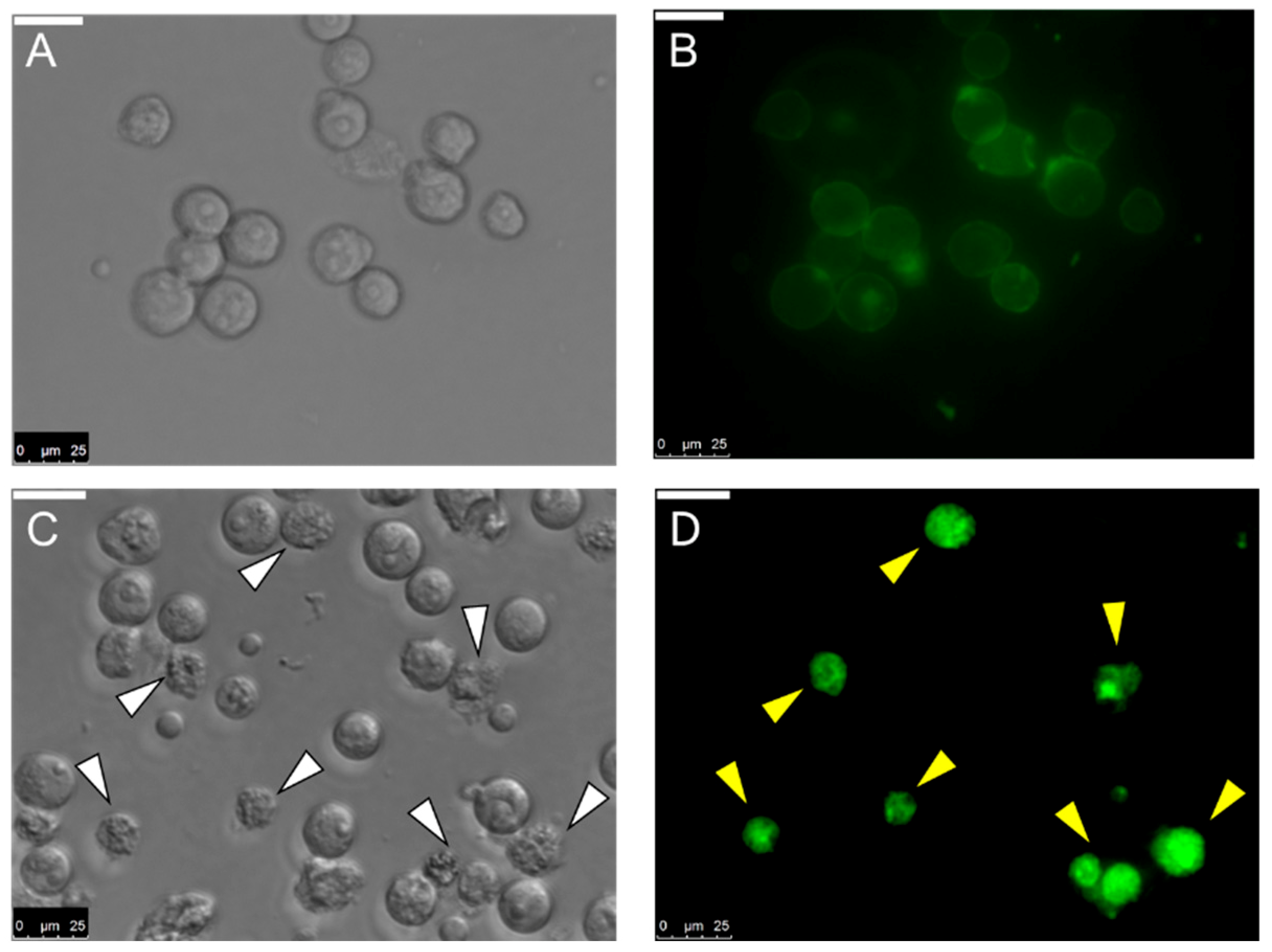 Marinedrugs 17 00502 g008 Marinedrugs 17 00502 g008