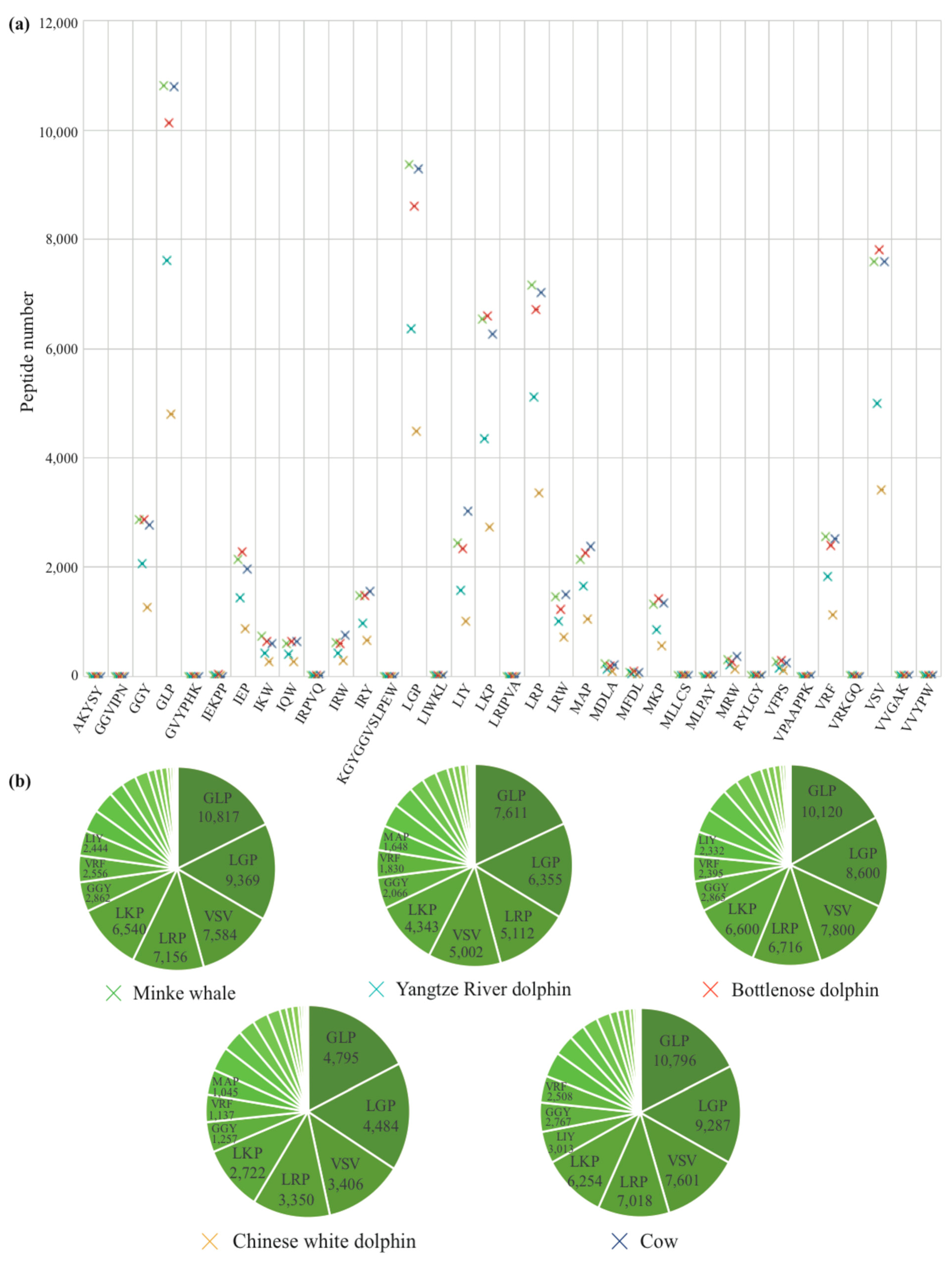 Marinedrugs 17 00504 g006 Marinedrugs 17 00504 g006