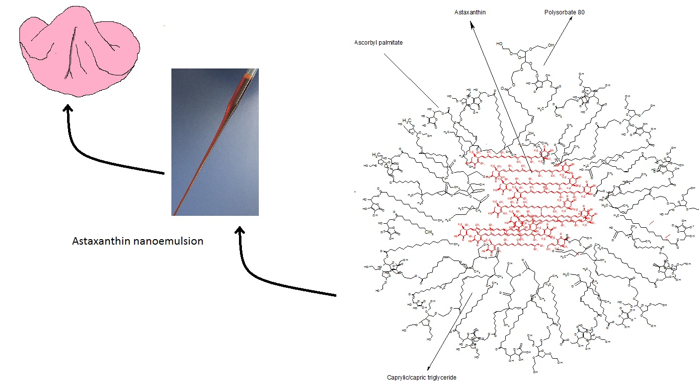 Ascorbyl Palmitate Safety Brain Mind Article