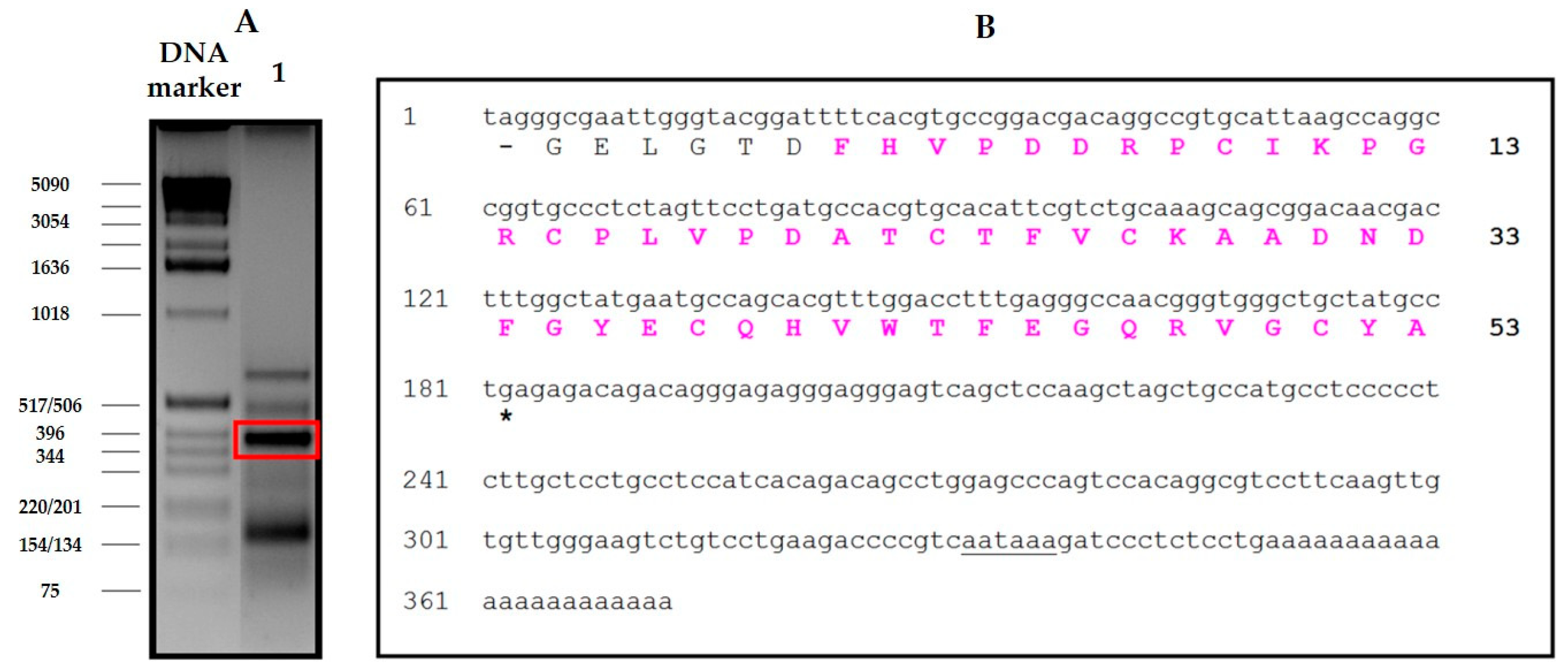 Marinedrugs 17 00511 g003