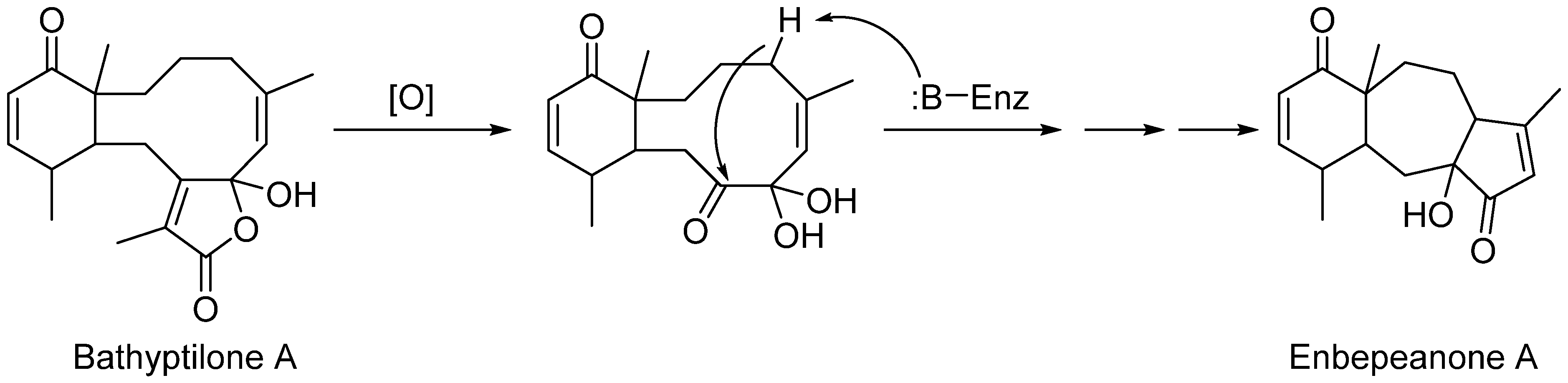 Marinedrugs 17 00513 sch002