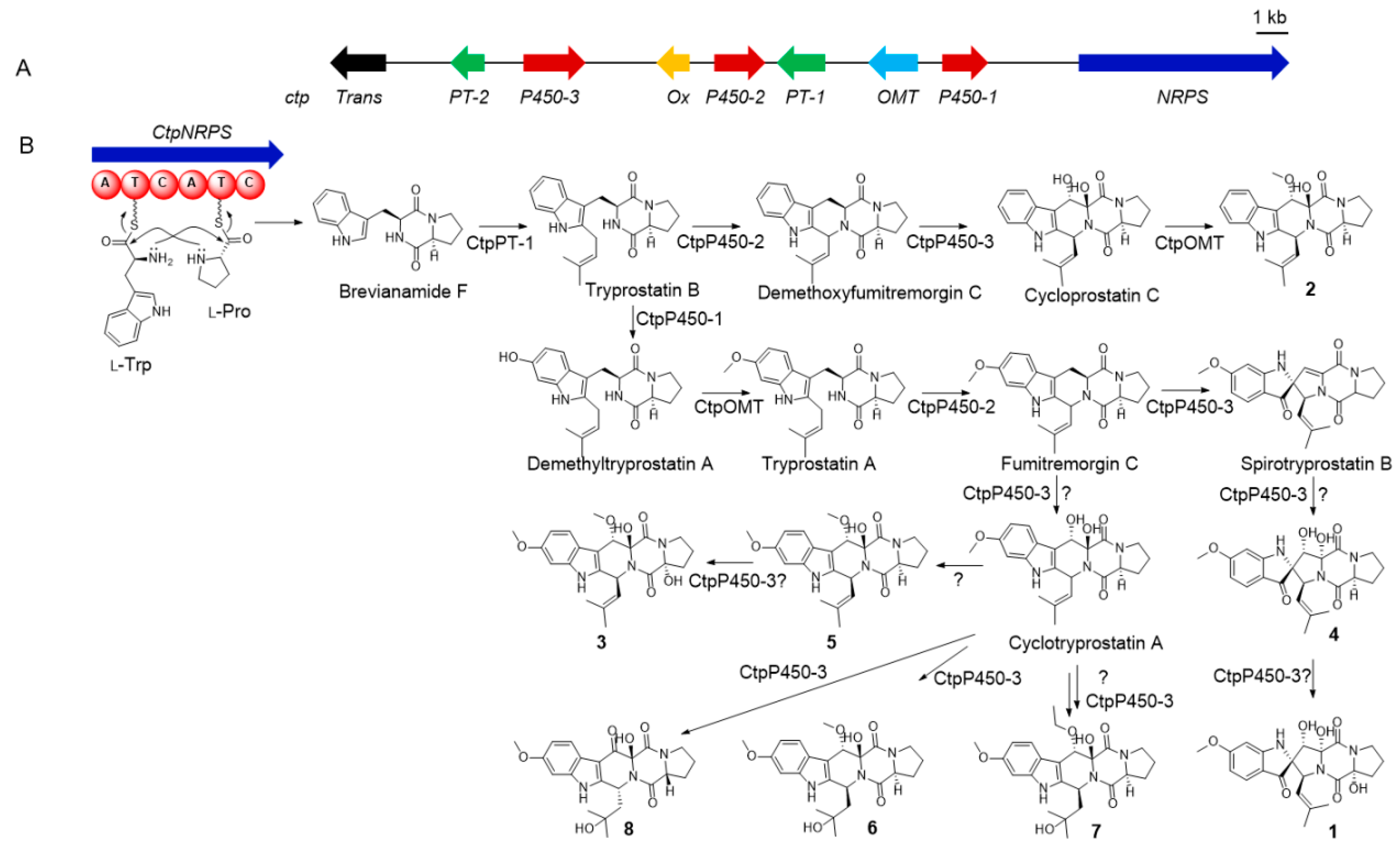 Marinedrugs 17 00514 g001 Marinedrugs 17 00514 g001