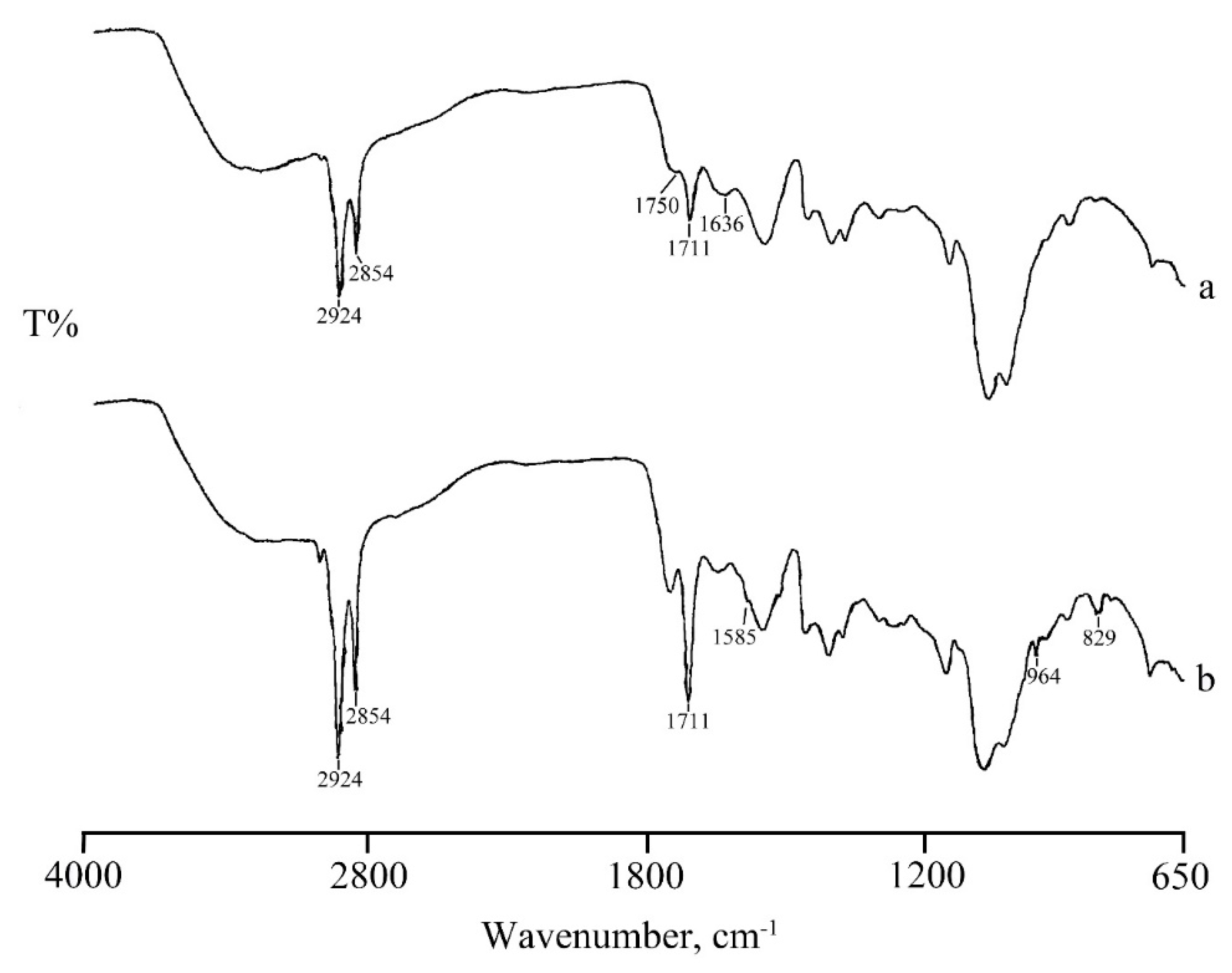 Marinedrugs 17 00515 g008 Marinedrugs 17 00515 g008