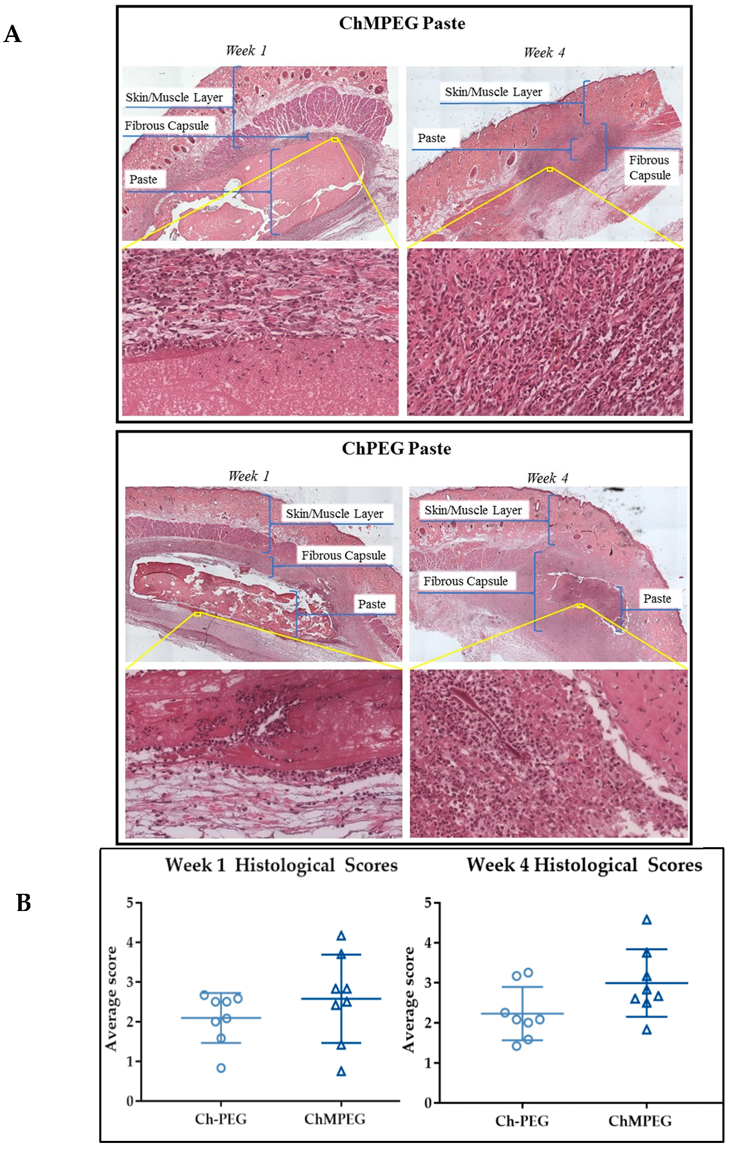 Marinedrugs 17 00517 g007 Marinedrugs 17 00517 g007