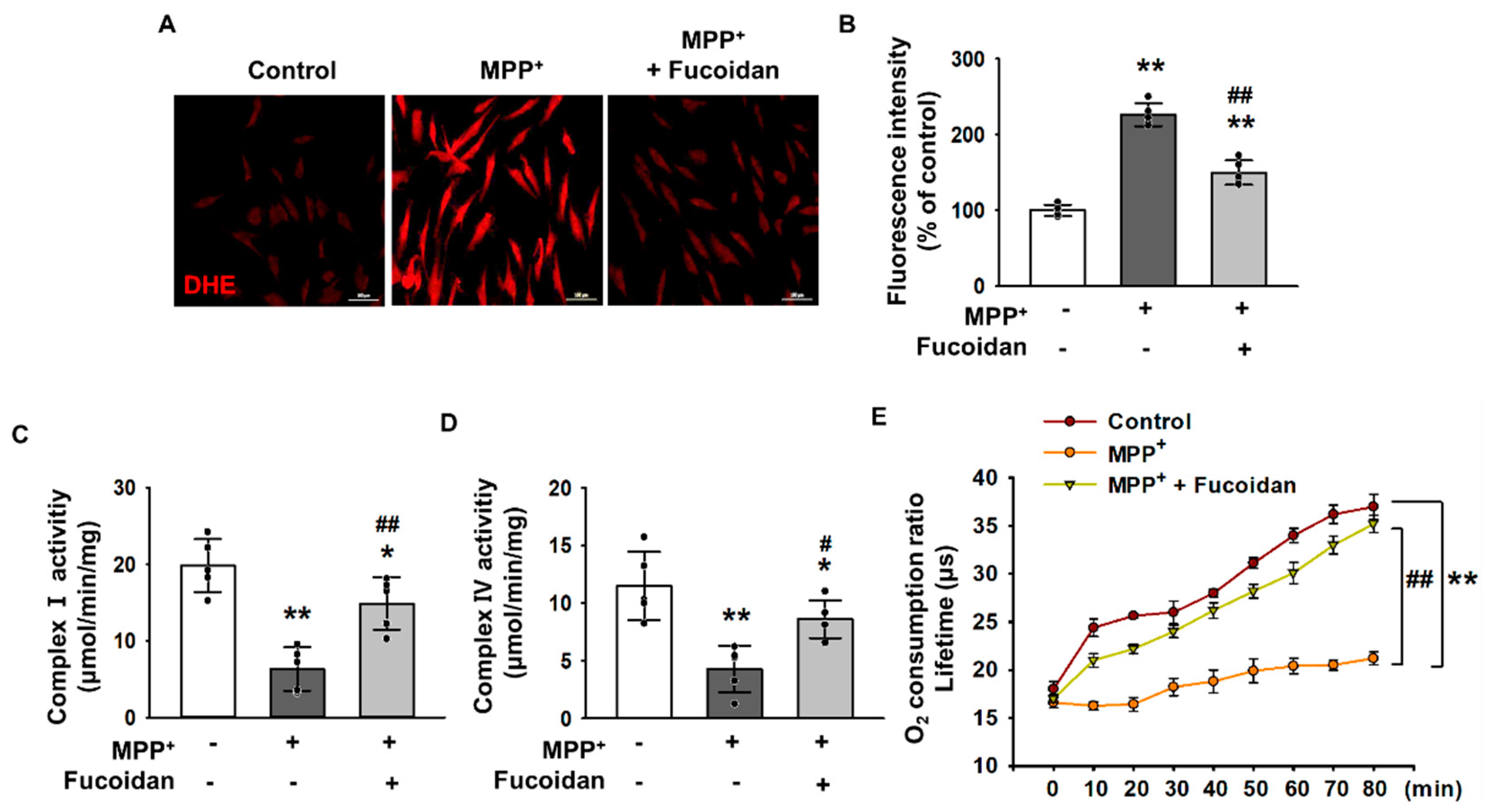 Marinedrugs 17 00518 g002 Marinedrugs 17 00518 g002