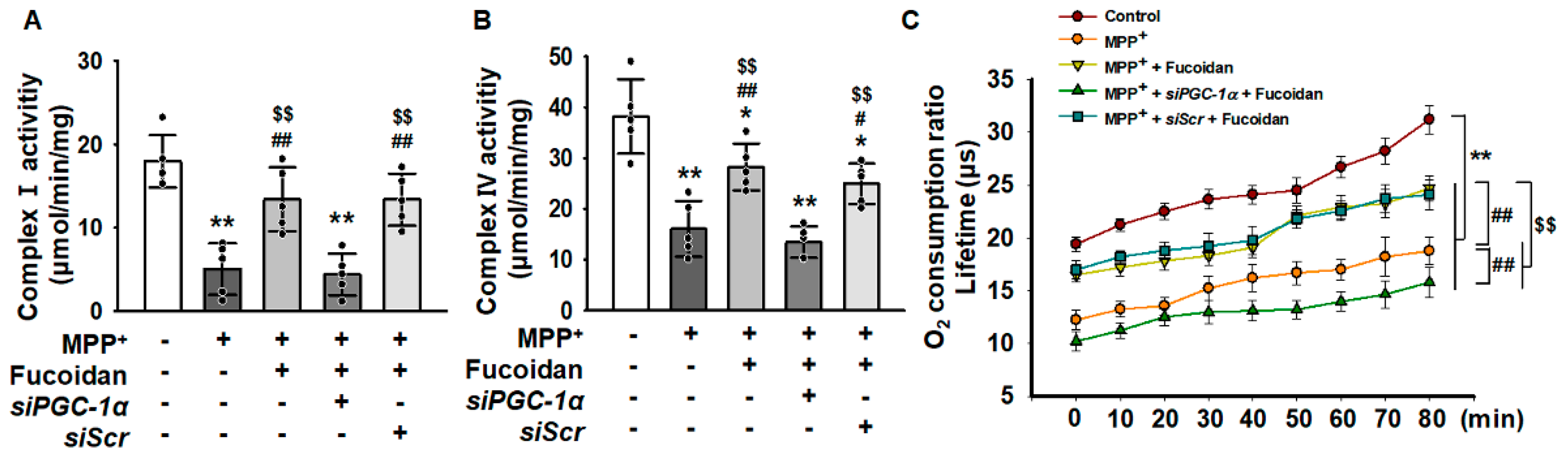 Marinedrugs 17 00518 g004 Marinedrugs 17 00518 g004