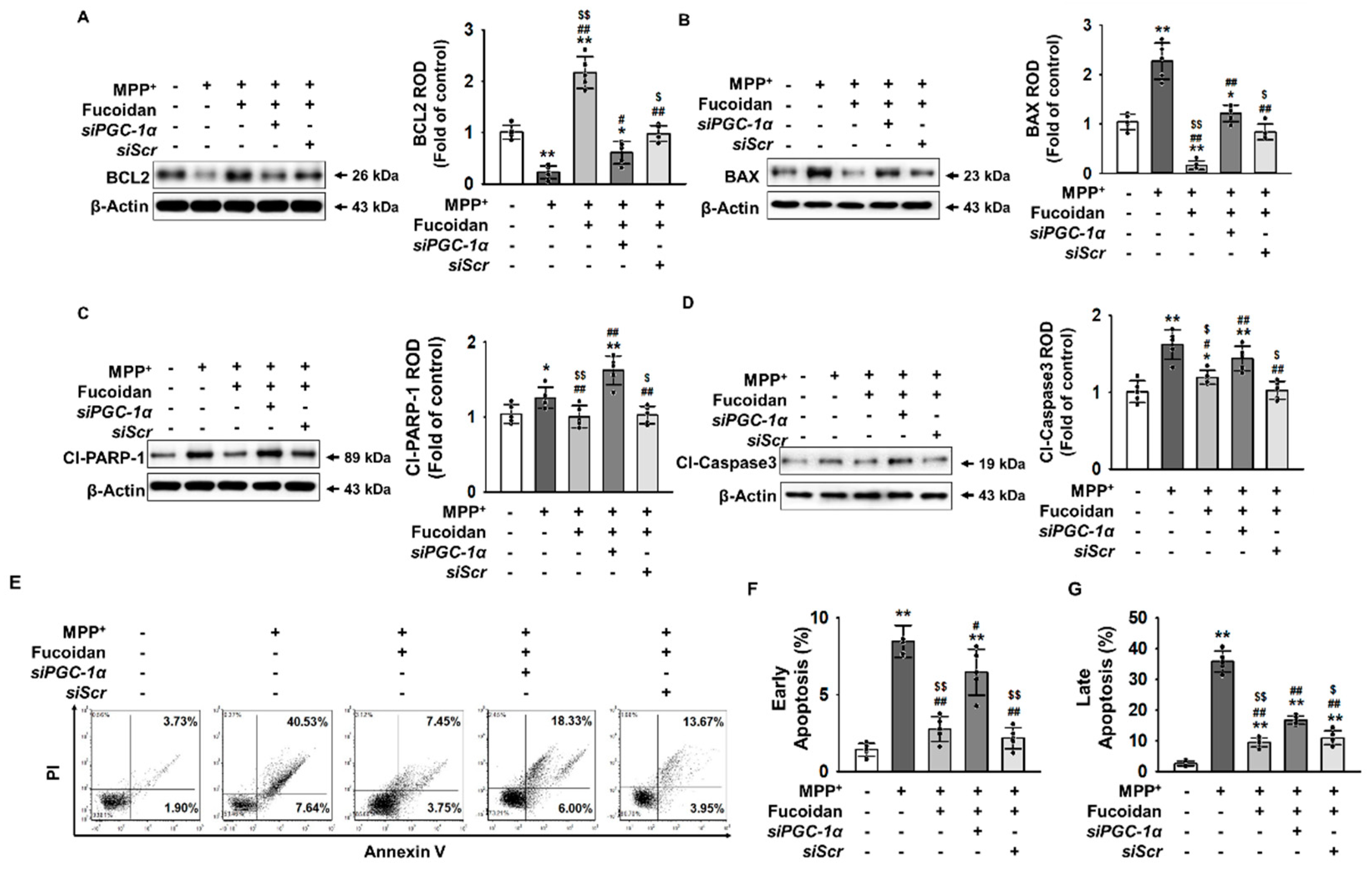 Marinedrugs 17 00518 g005 Marinedrugs 17 00518 g005