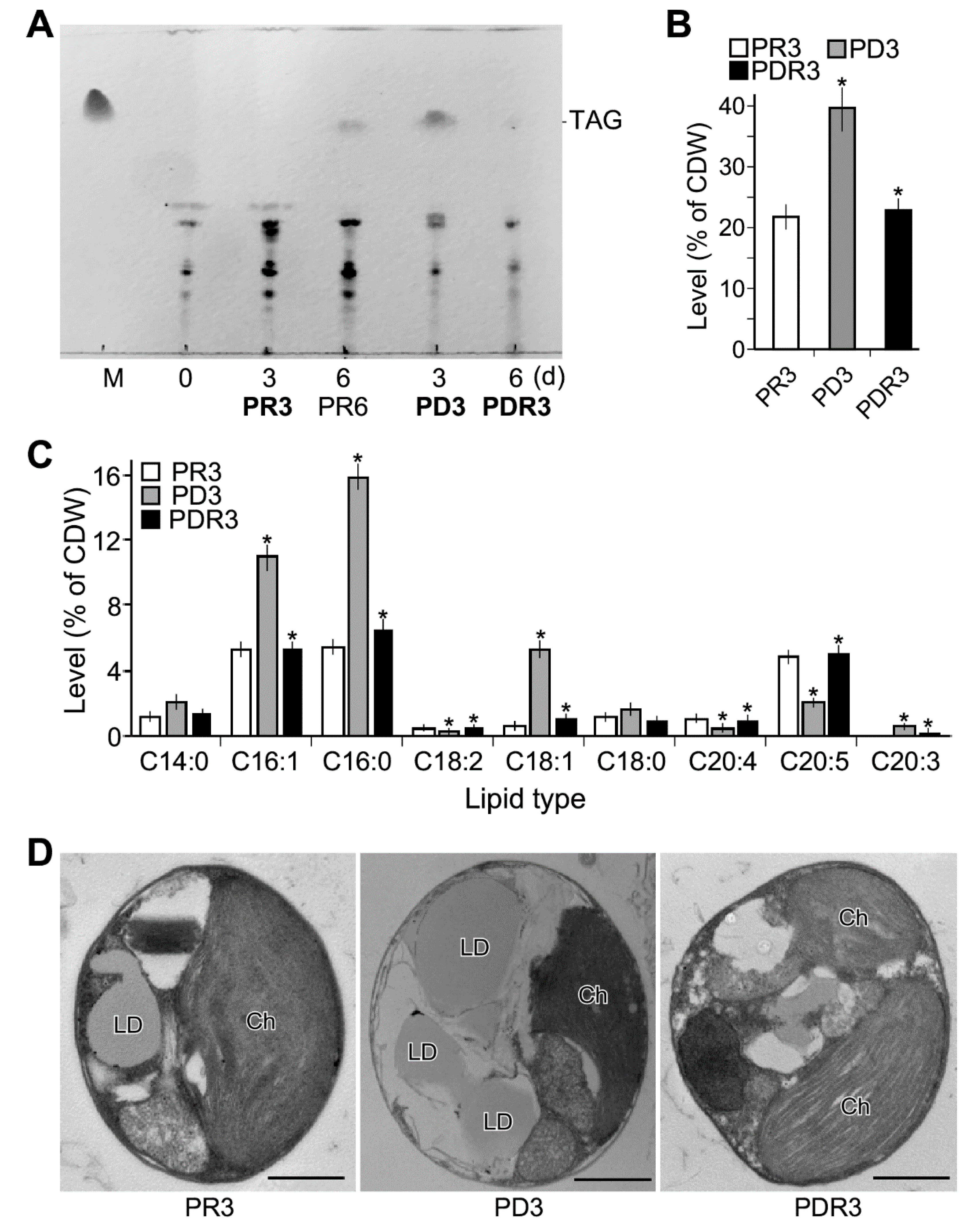 Marinedrugs 17 00519 g002