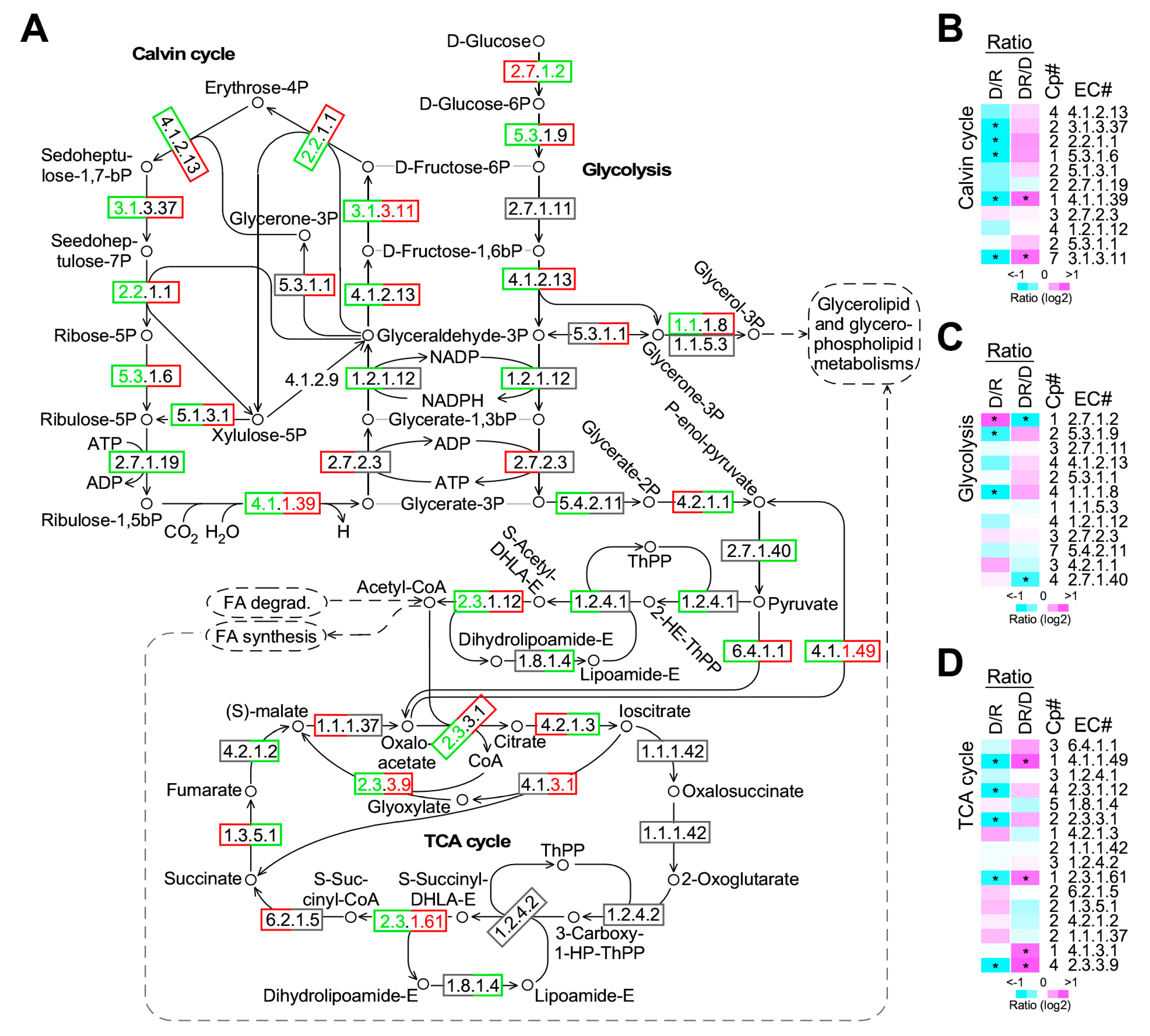 Marinedrugs 17 00519 g005