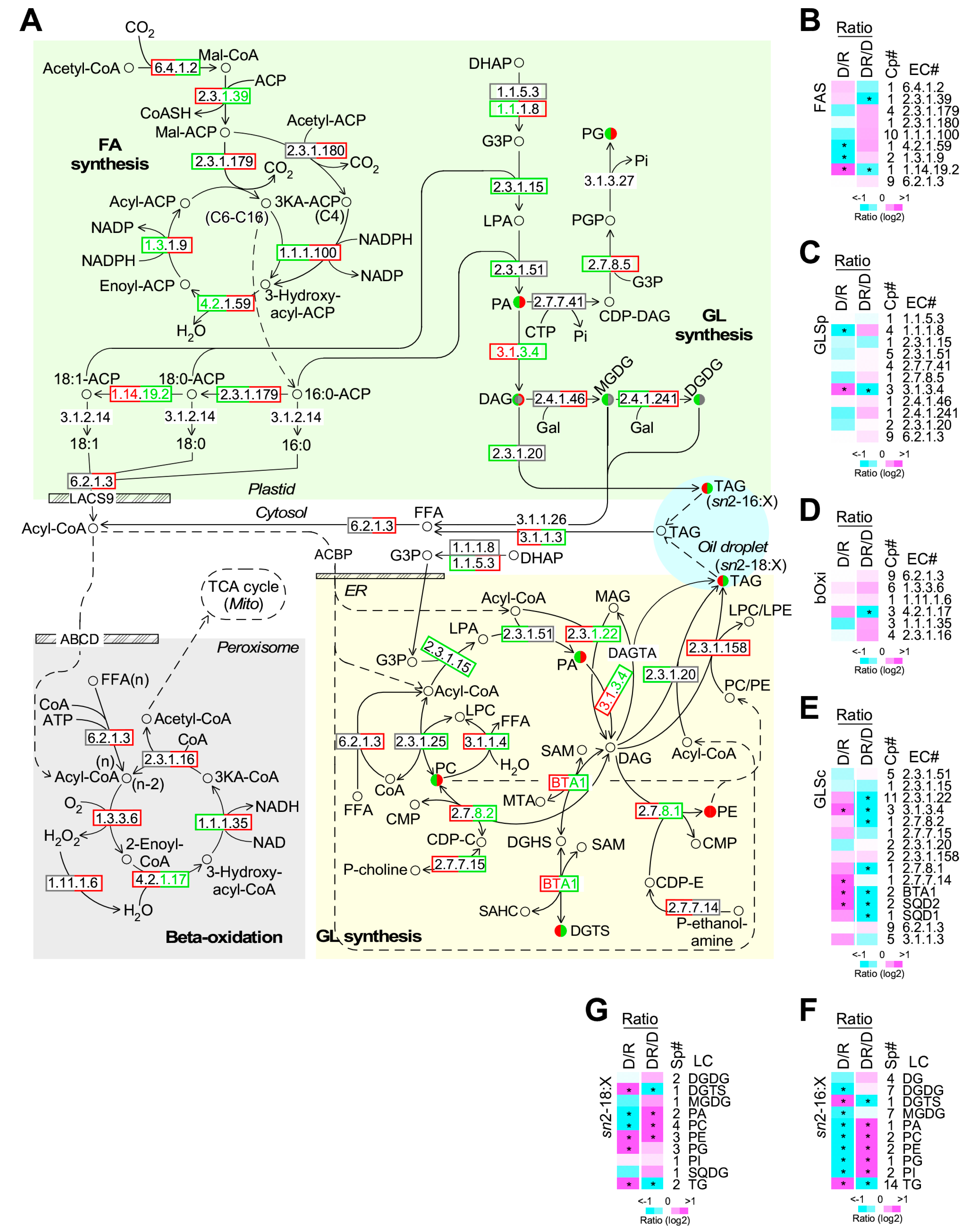 Marinedrugs 17 00519 g006