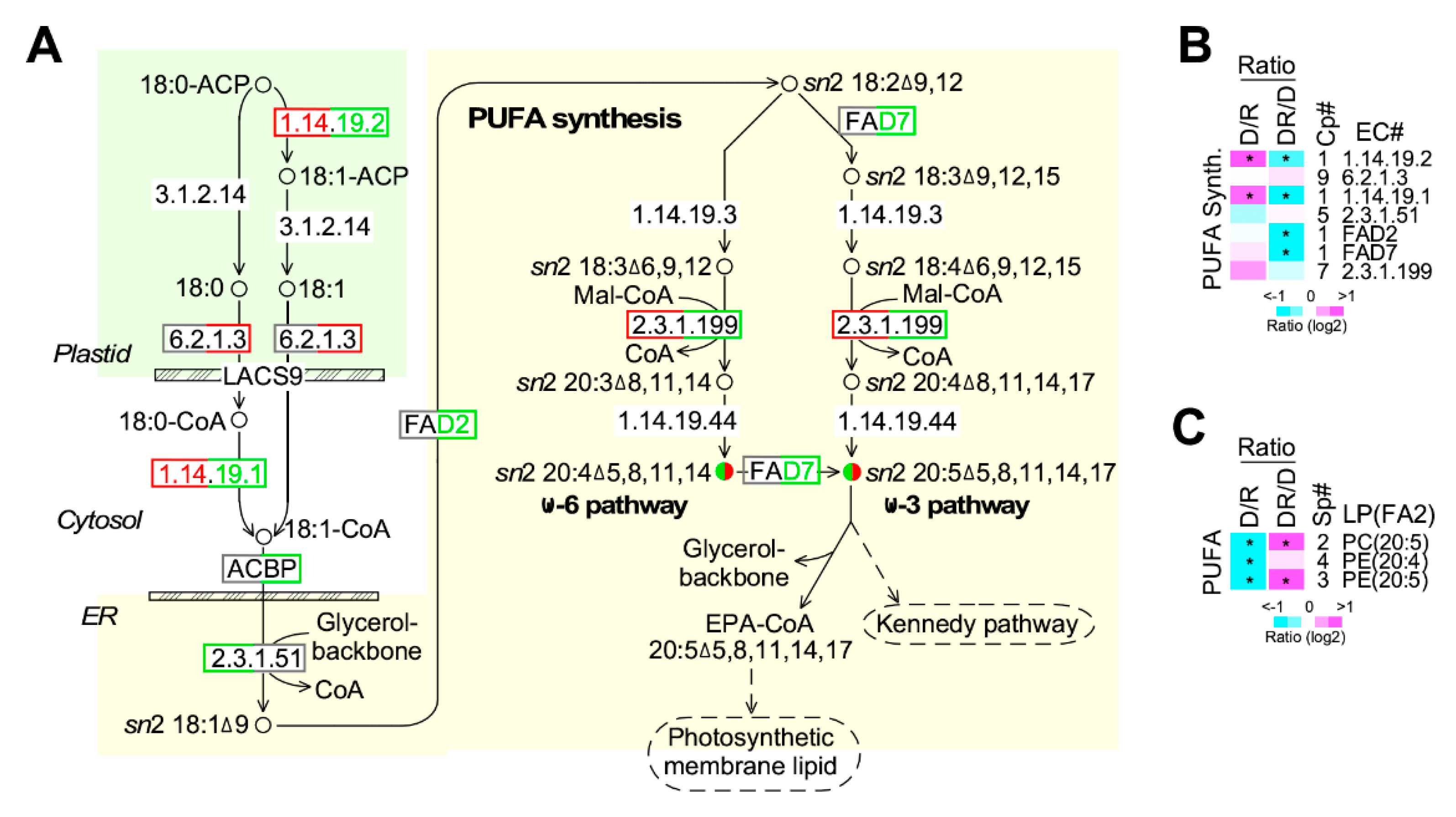 Marinedrugs 17 00519 g007