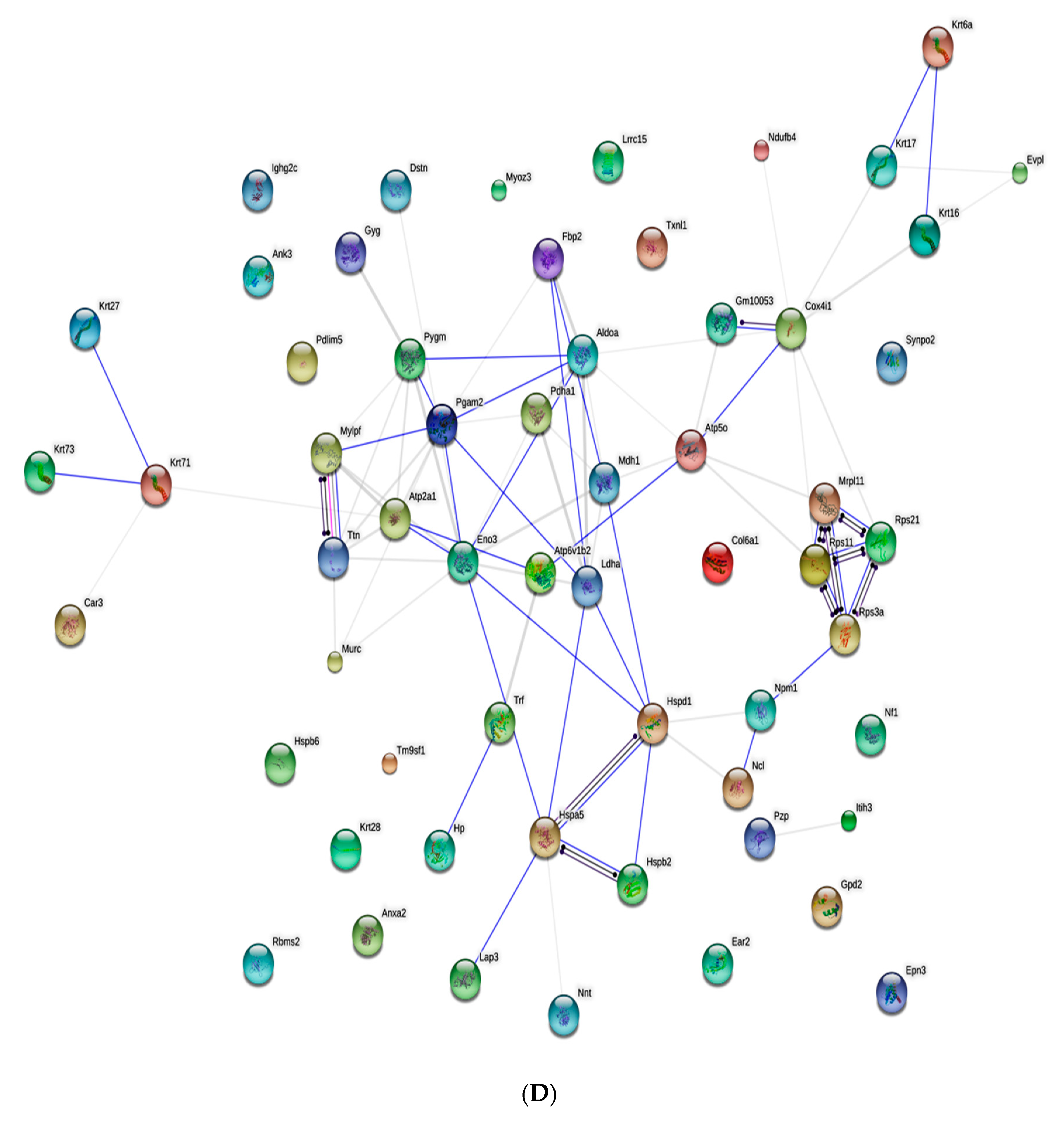 Marinedrugs 17 00520 g004d Marinedrugs 17 00520 g004d