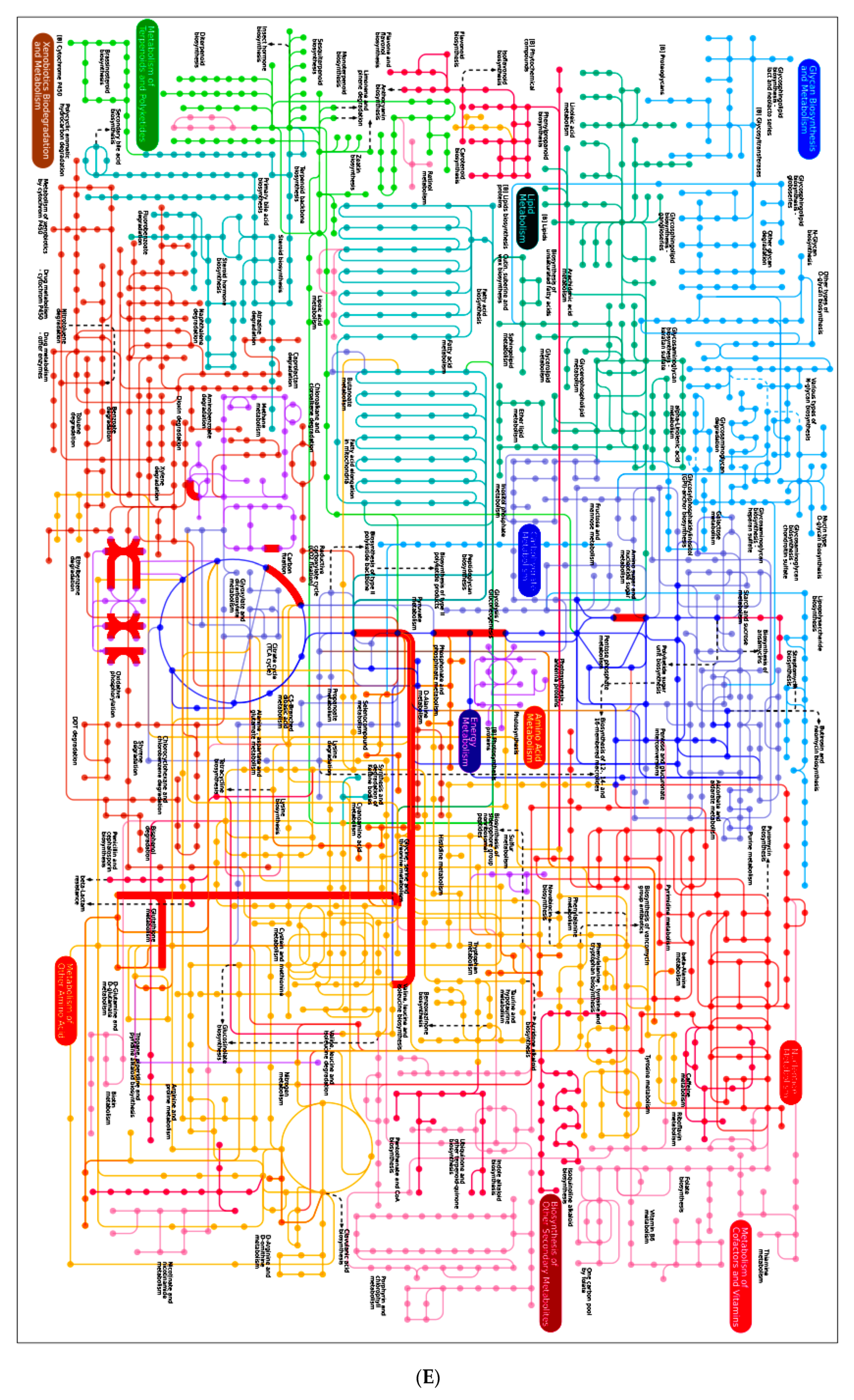 Marinedrugs 17 00520 g004e Marinedrugs 17 00520 g004e