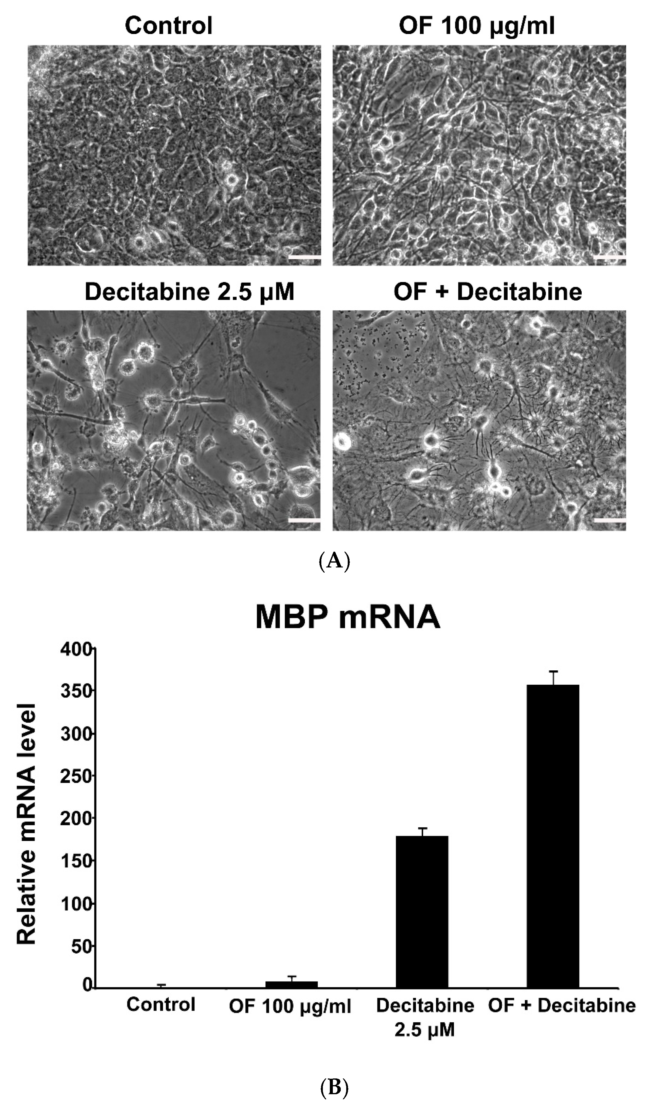 Marinedrugs 17 00525 g007 Marinedrugs 17 00525 g007