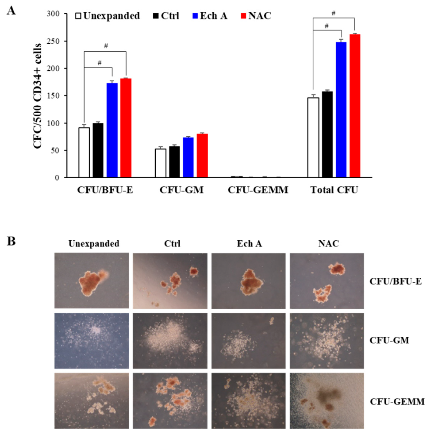 Marinedrugs 17 00526 g006 Marinedrugs 17 00526 g006