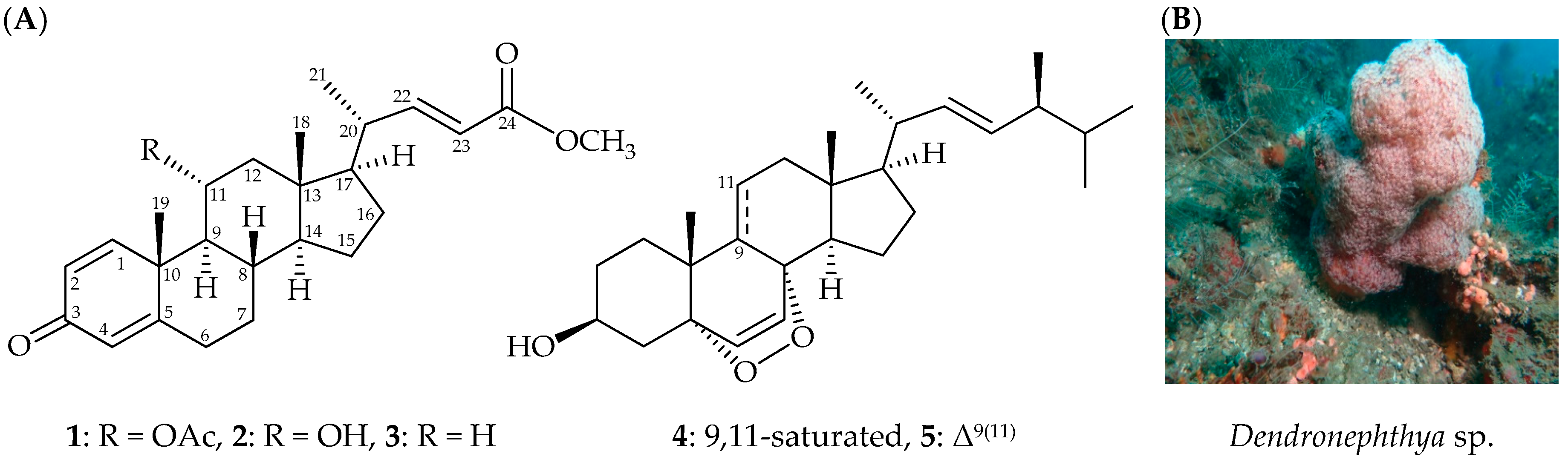 Marinedrugs 17 00530 g001 Marinedrugs 17 00530 g001