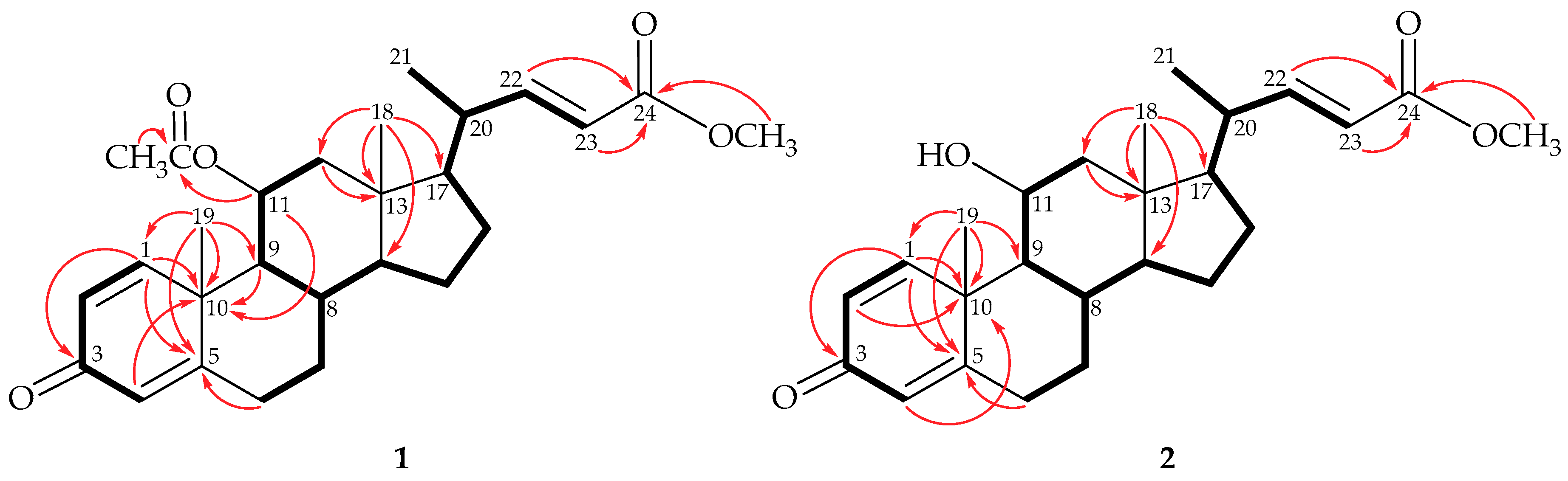 Marinedrugs 17 00530 g002 Marinedrugs 17 00530 g002