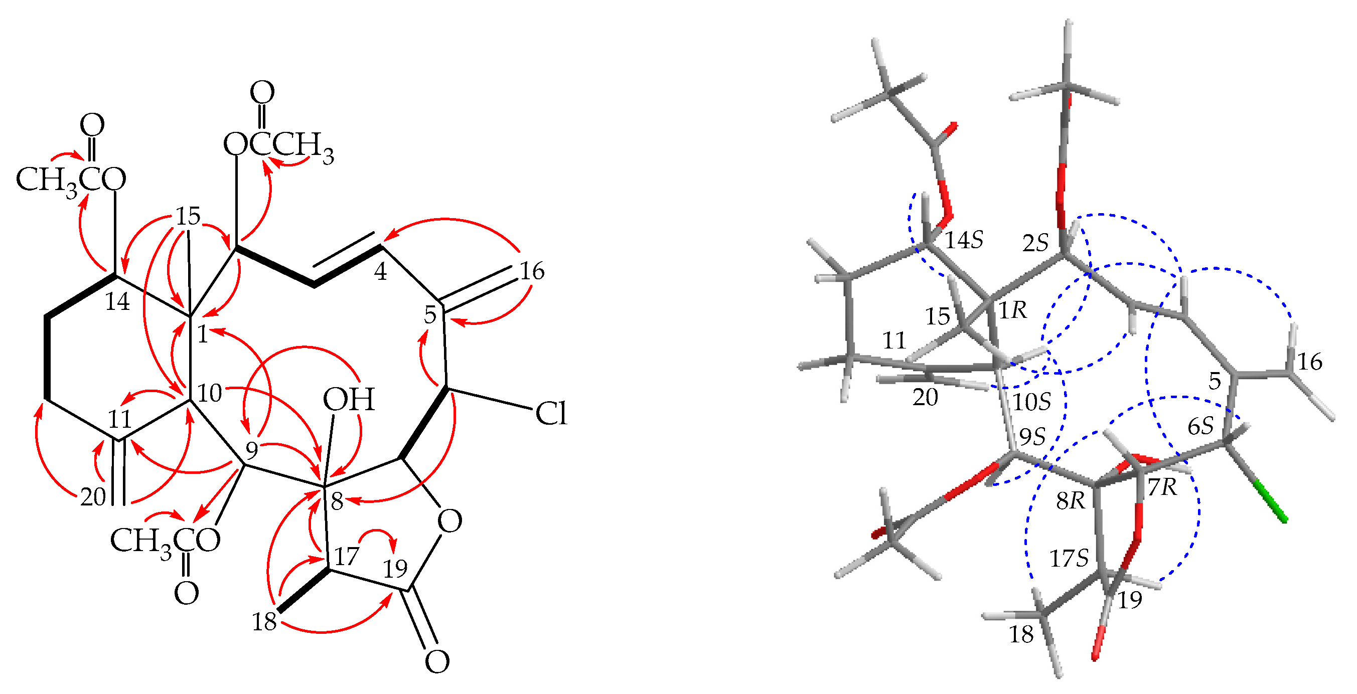 Marinedrugs 17 00534 g003