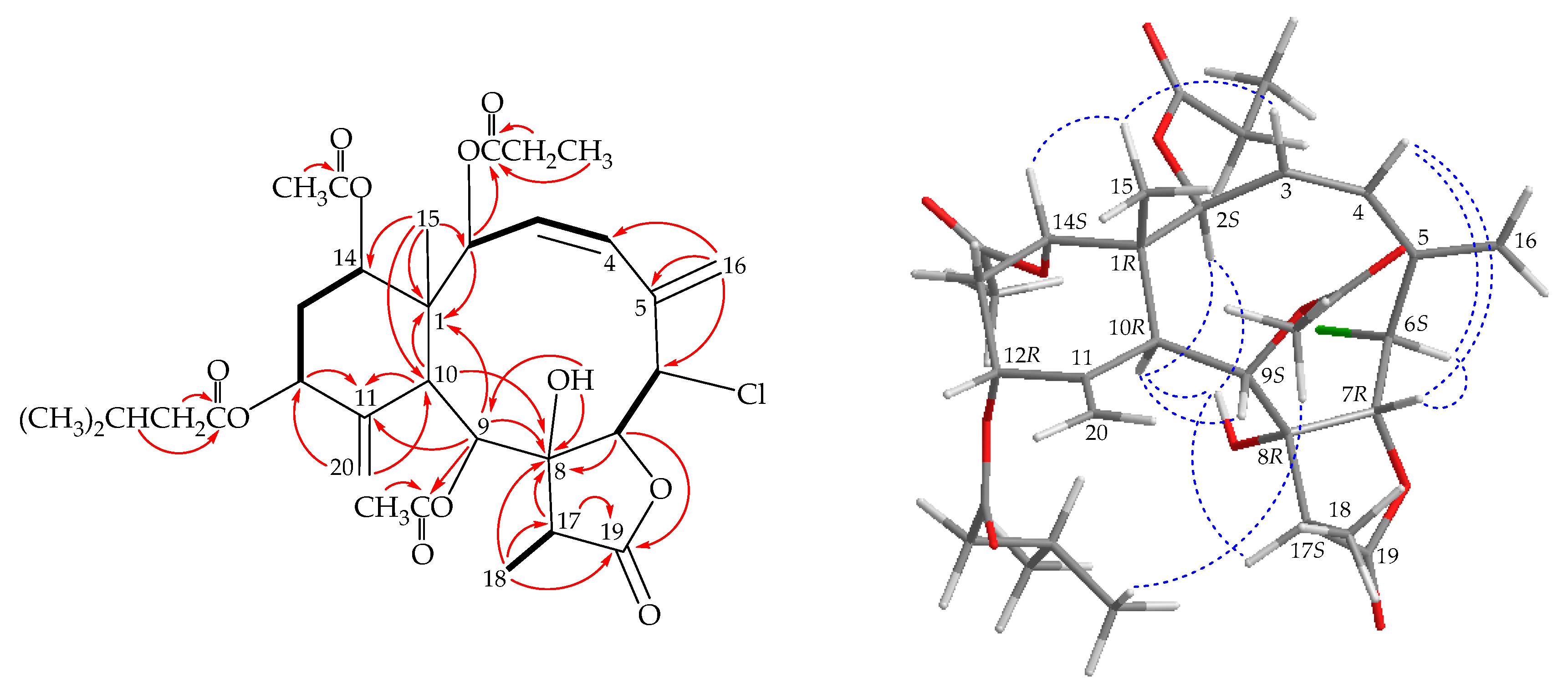 Marinedrugs 17 00534 g004
