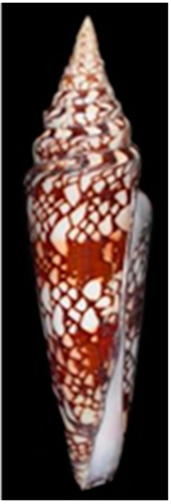 Marinedrugs 17 00535 g001