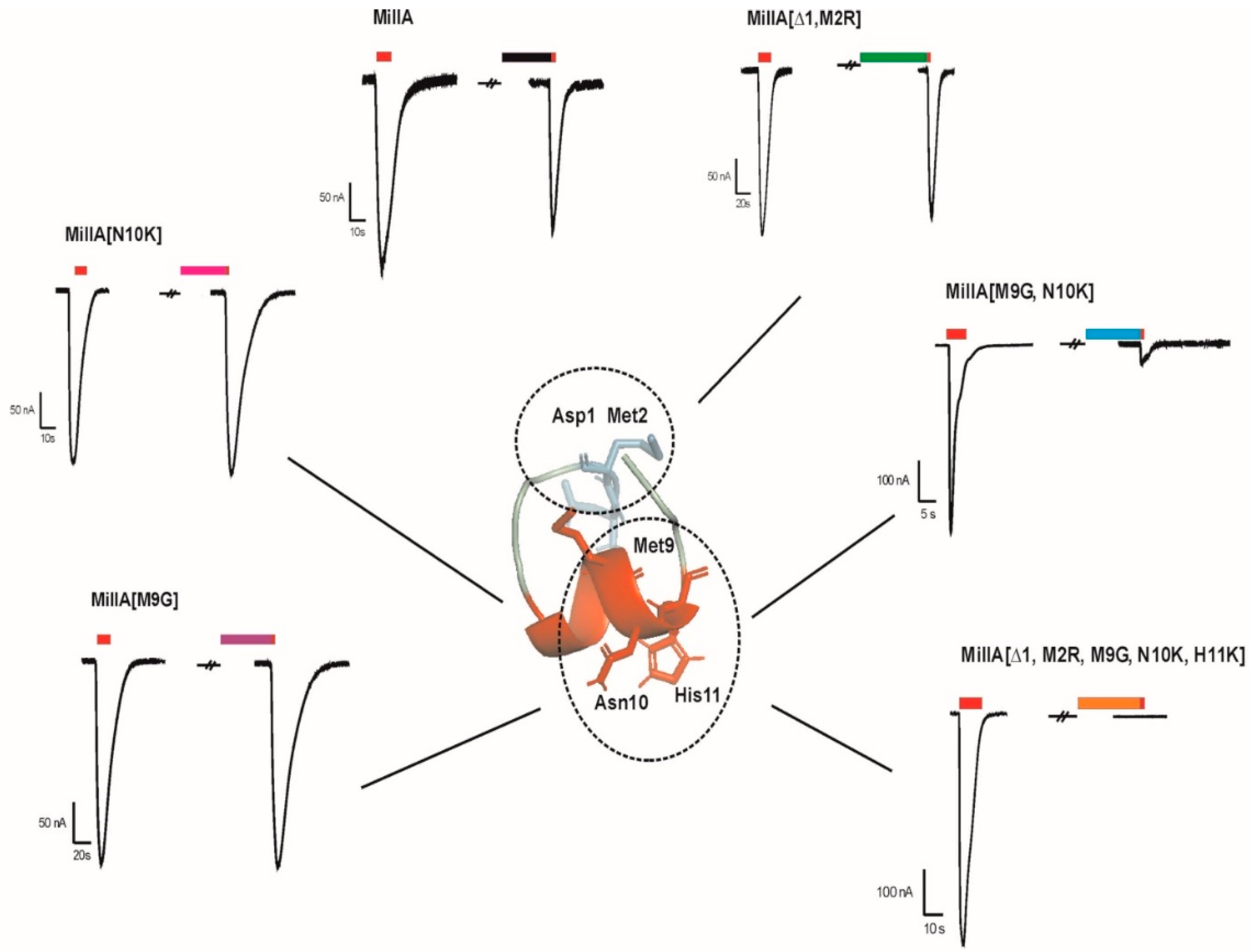 Marinedrugs 17 00535 g008
